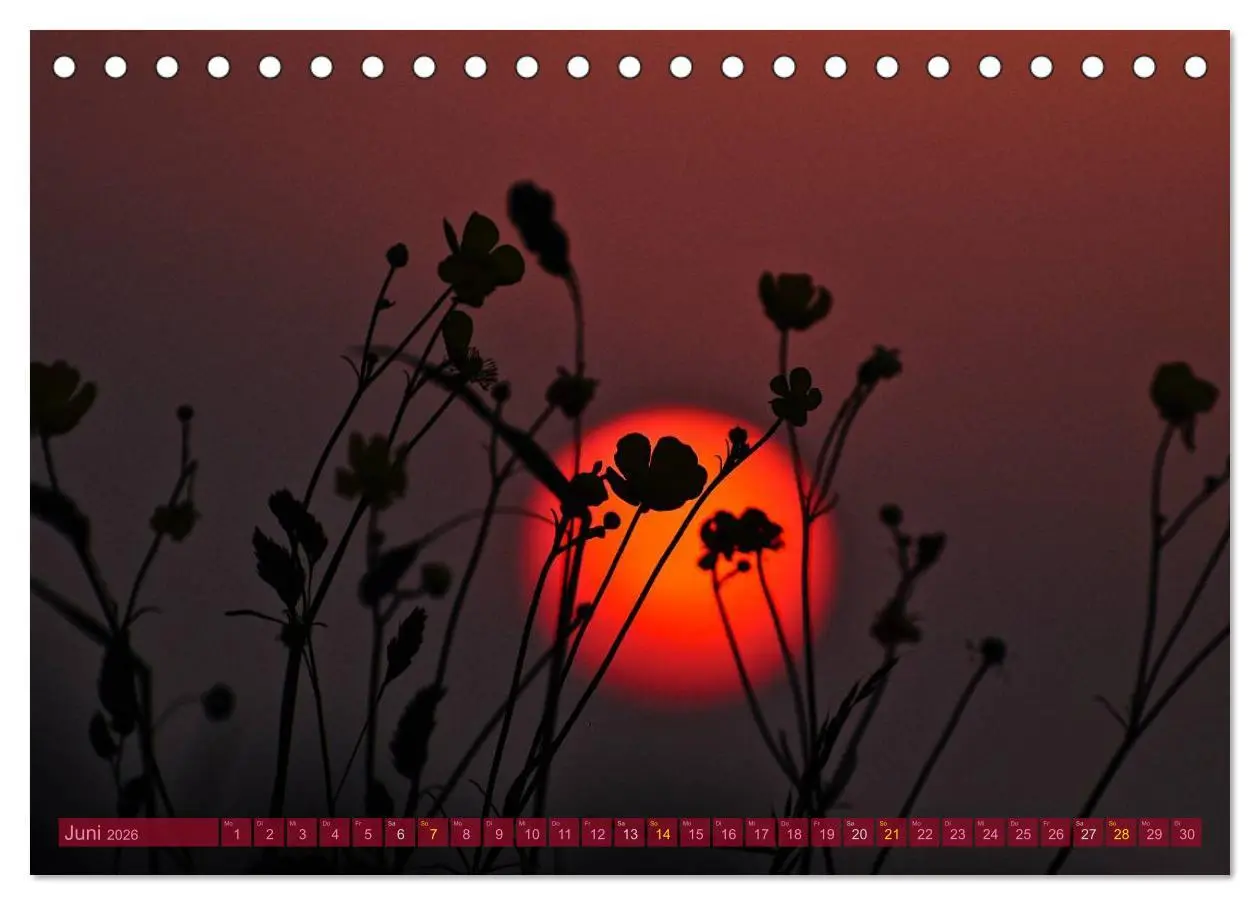 Bild: 9783516210859 | Die Sonne - 2026 (Tischkalender 2026 DIN A5 quer), CALVENDO...