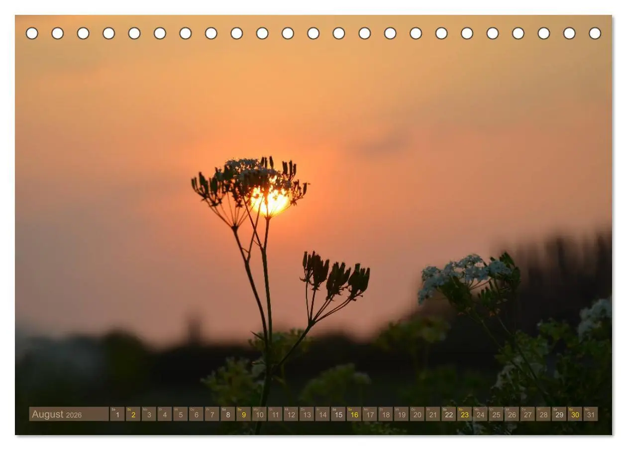 Bild: 9783516210859 | Die Sonne - 2026 (Tischkalender 2026 DIN A5 quer), CALVENDO...