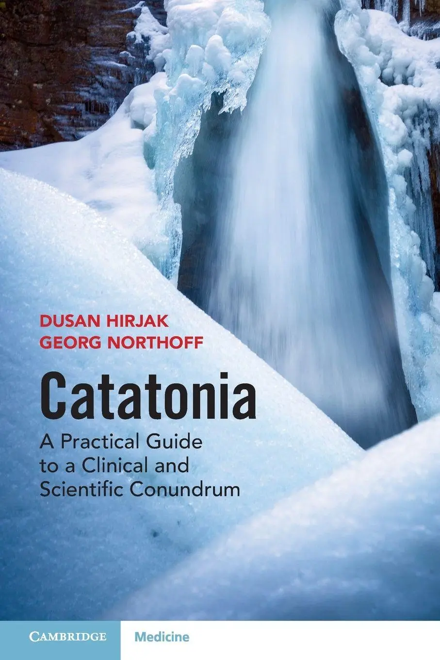 Cover: 9781009450959 | Catatonia | Dusan Hirjak (u. a.) | Taschenbuch | Englisch | 2025