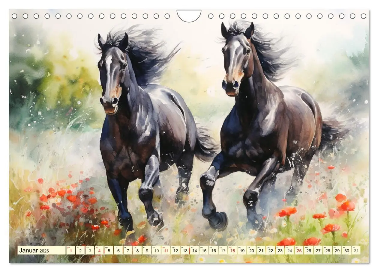 Bild: 9783457350959 | Pferde. Romantische Aquarelle von schwarzen Schönheiten...