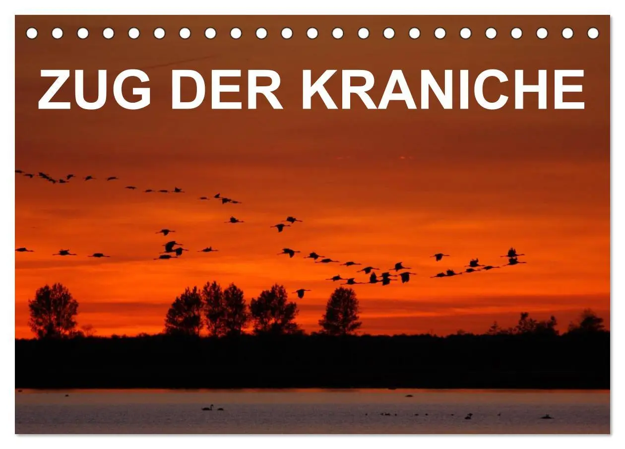 Cover: 9783516060959 | Zug der Kraniche (Tischkalender 2026 DIN A5 quer), CALVENDO...