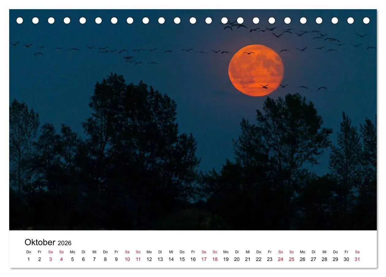 Bild: 9783516060959 | Zug der Kraniche (Tischkalender 2026 DIN A5 quer), CALVENDO...