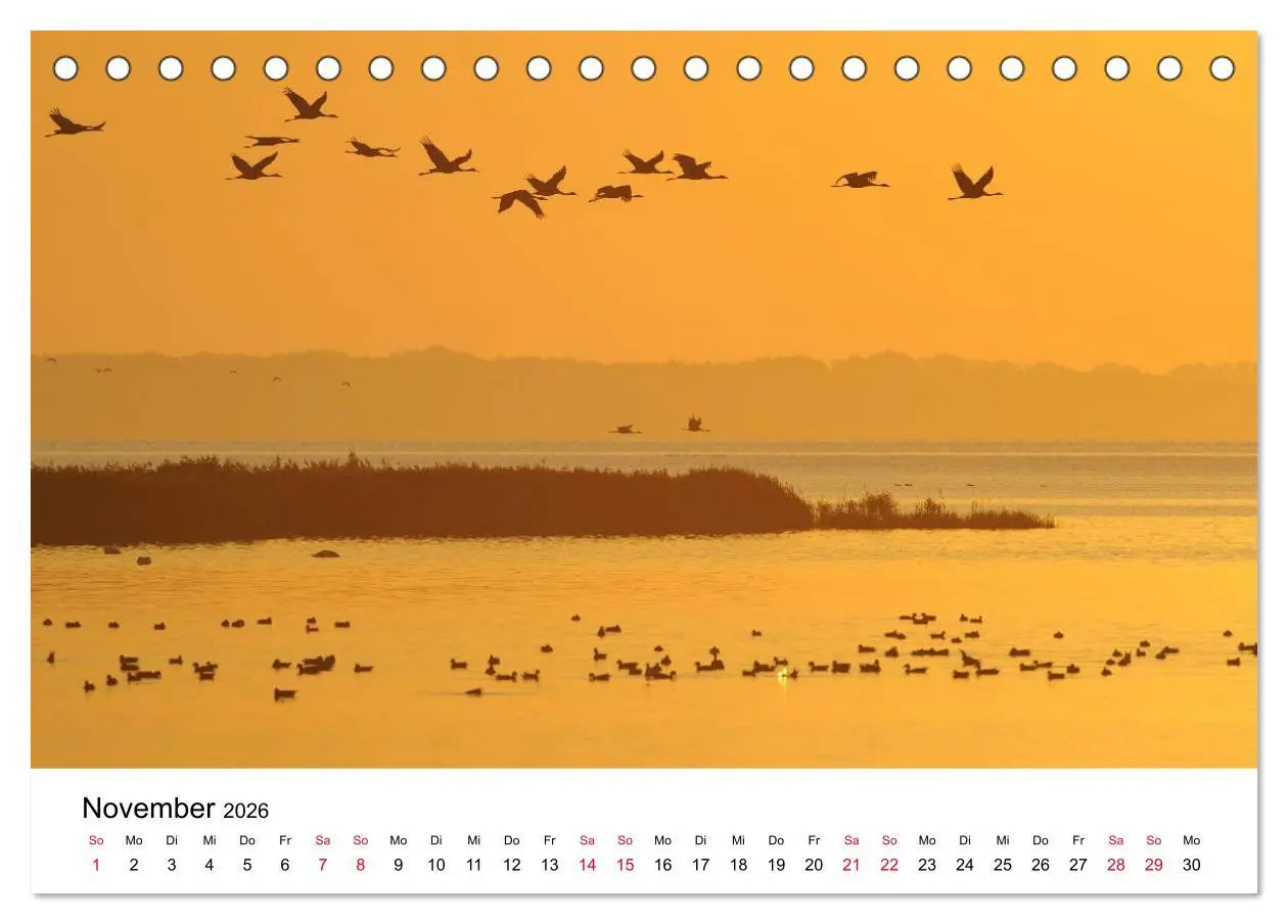 Bild: 9783516060959 | Zug der Kraniche (Tischkalender 2026 DIN A5 quer), CALVENDO...