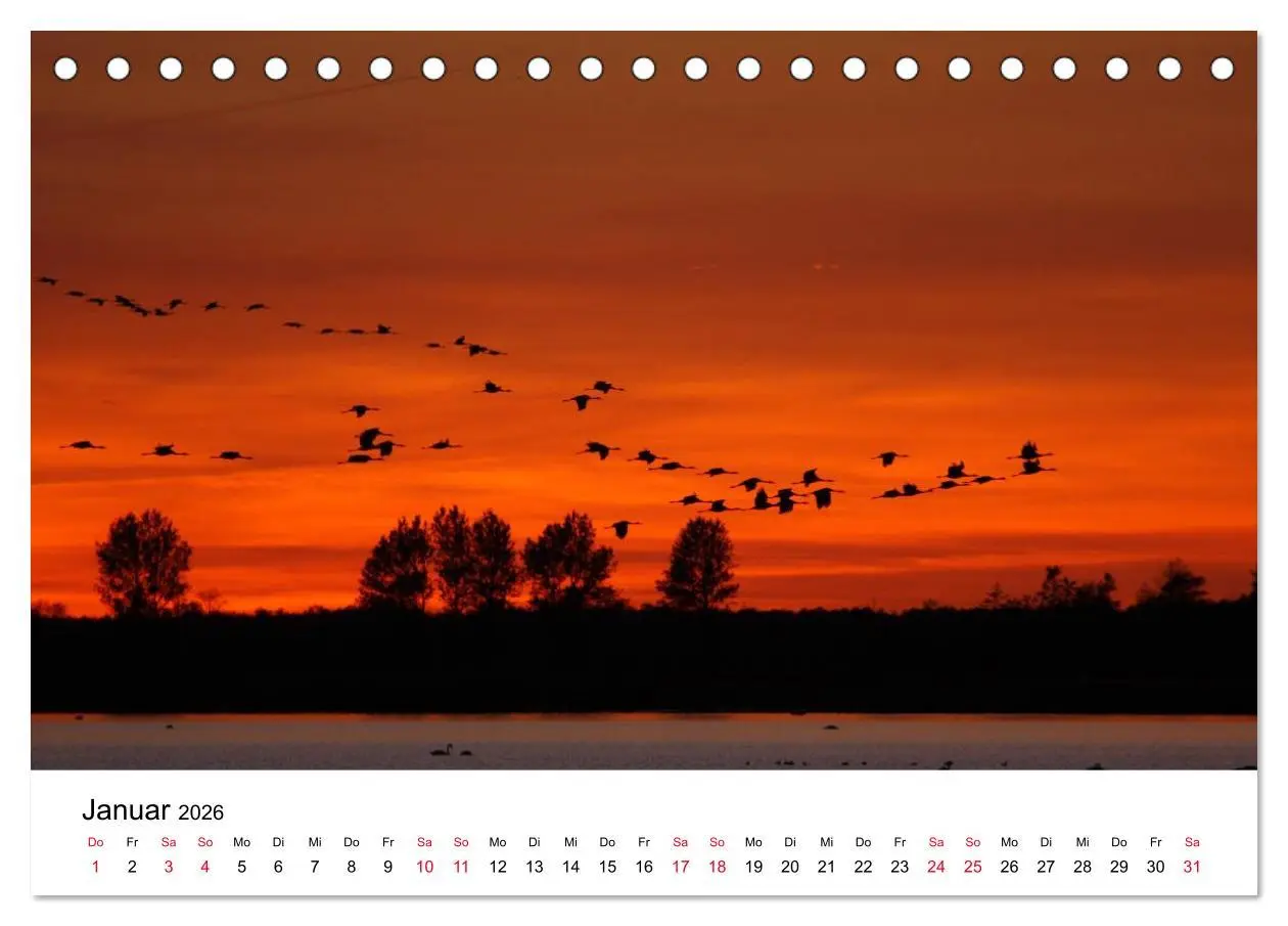 Bild: 9783516060959 | Zug der Kraniche (Tischkalender 2026 DIN A5 quer), CALVENDO...