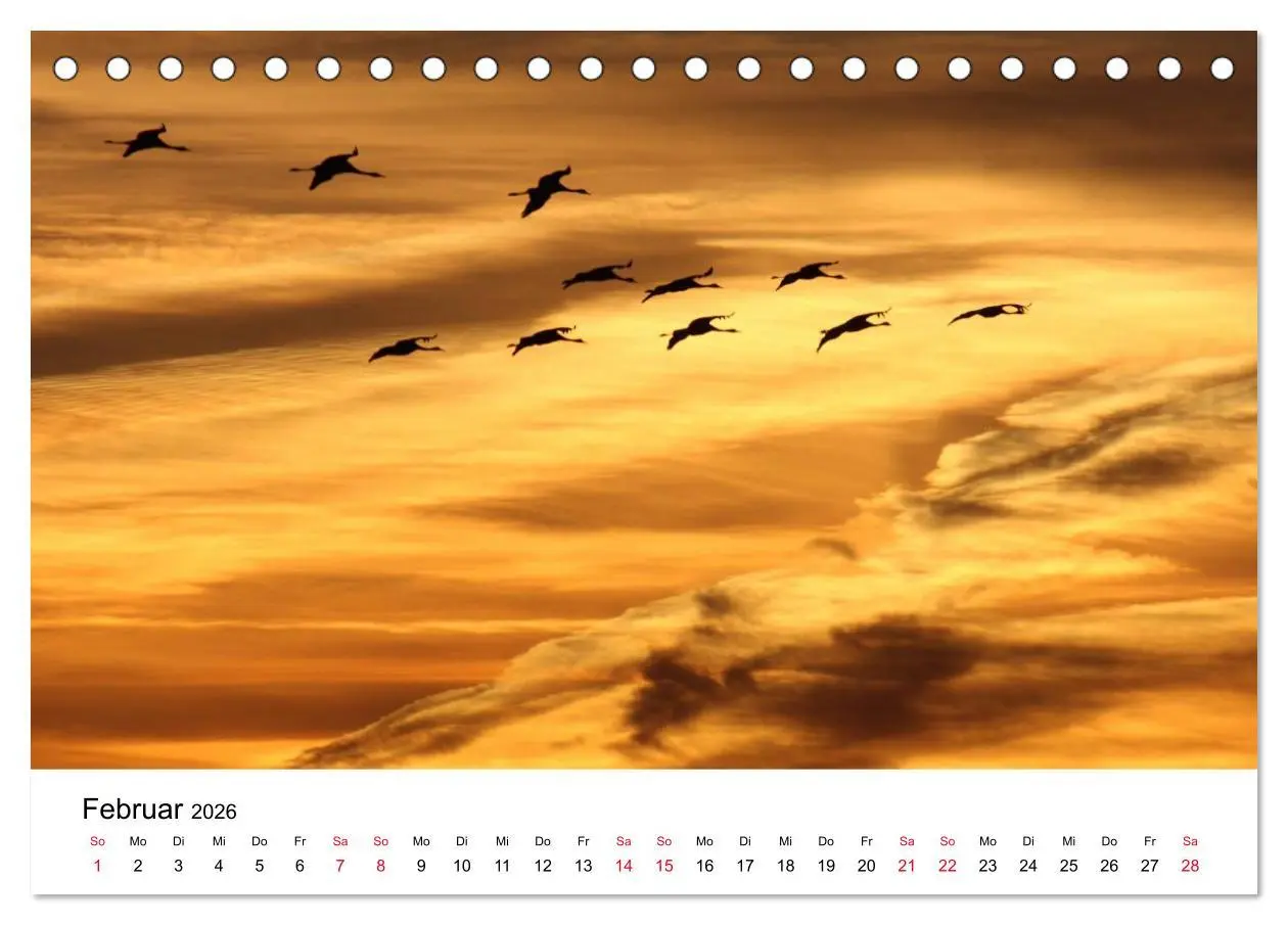 Bild: 9783516060959 | Zug der Kraniche (Tischkalender 2026 DIN A5 quer), CALVENDO...