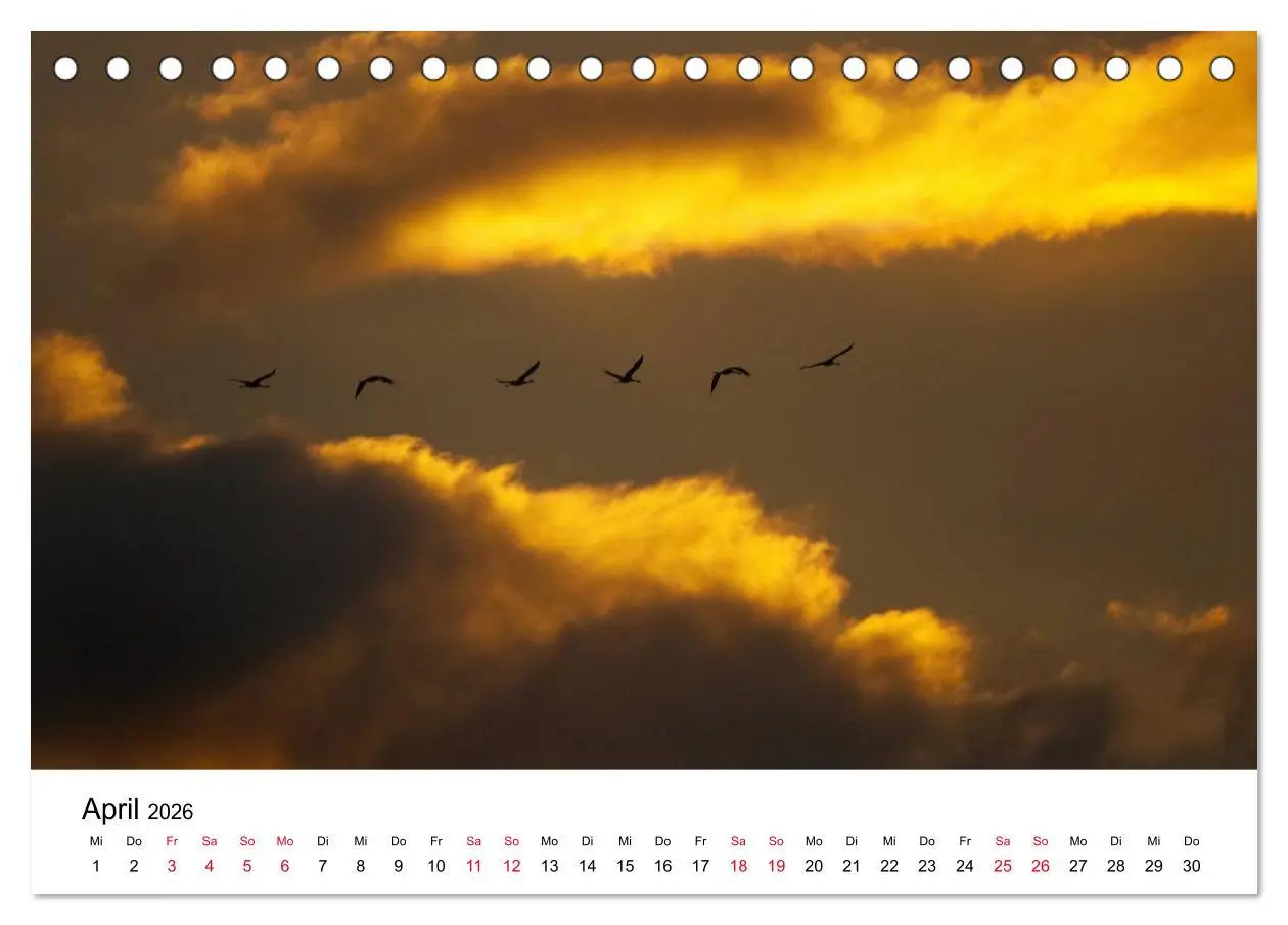 Bild: 9783516060959 | Zug der Kraniche (Tischkalender 2026 DIN A5 quer), CALVENDO...