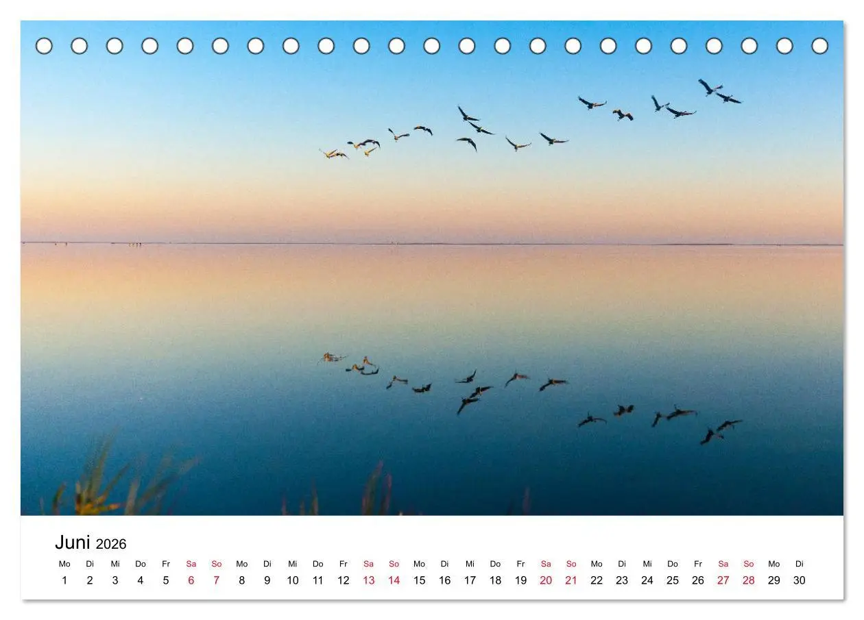 Bild: 9783516060959 | Zug der Kraniche (Tischkalender 2026 DIN A5 quer), CALVENDO...