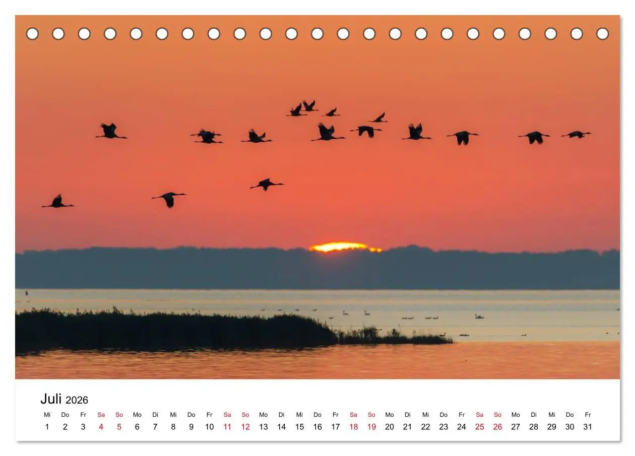 Bild: 9783516060959 | Zug der Kraniche (Tischkalender 2026 DIN A5 quer), CALVENDO...