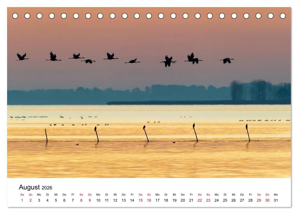 Bild: 9783516060959 | Zug der Kraniche (Tischkalender 2026 DIN A5 quer), CALVENDO...