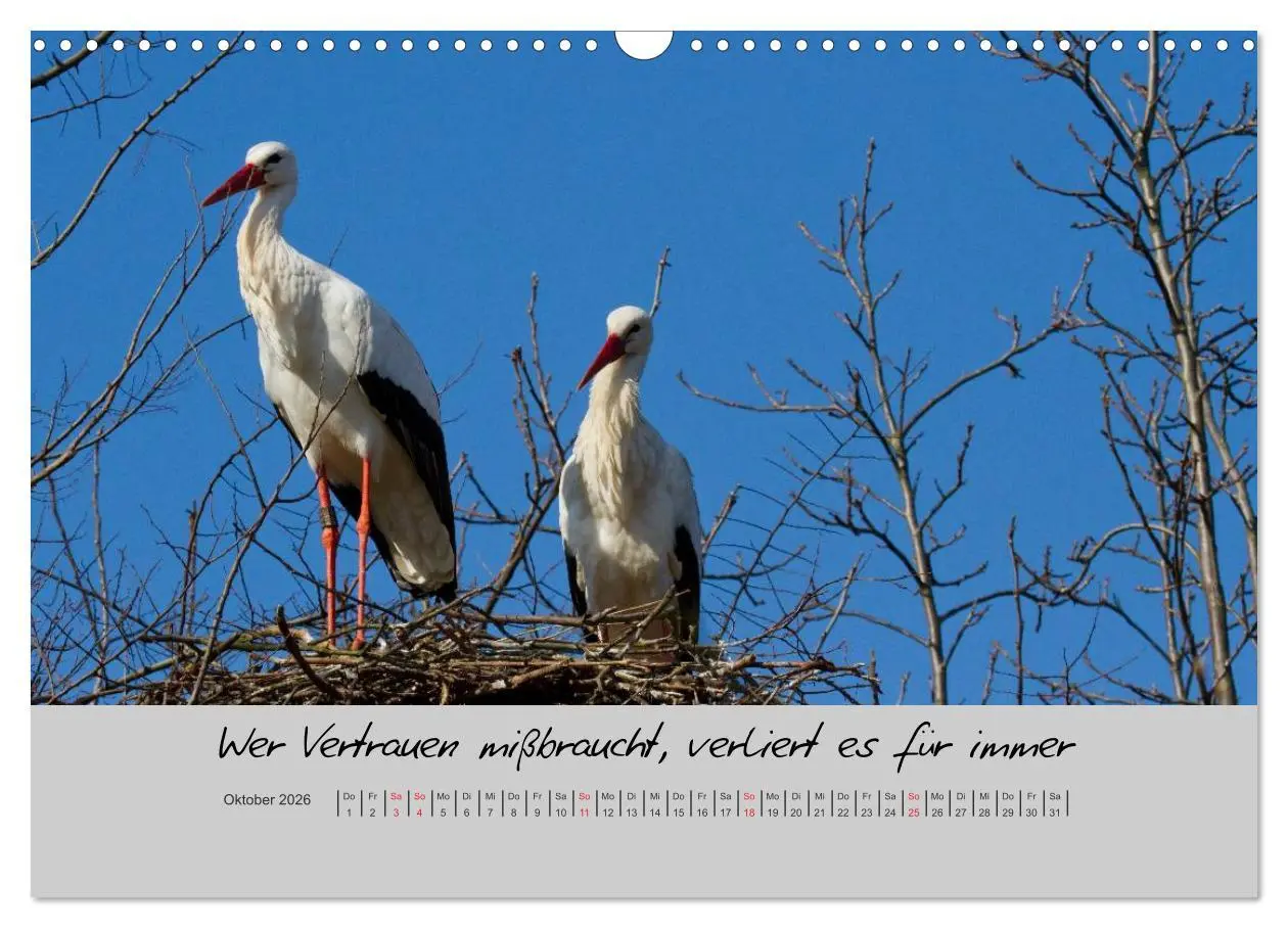 Bild: 9783516200959 | Kleine und große Wahrheiten - Sprüche zum Nachdenken (Wandkalender...
