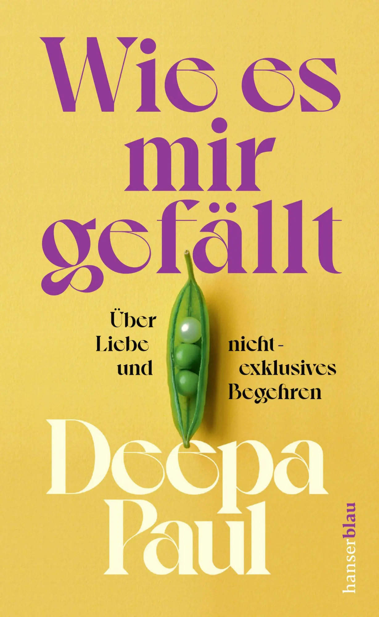 Cover: 9783446281059 | Wie es mir gefällt | Über Liebe und nicht-exklusives Begehren | Paul