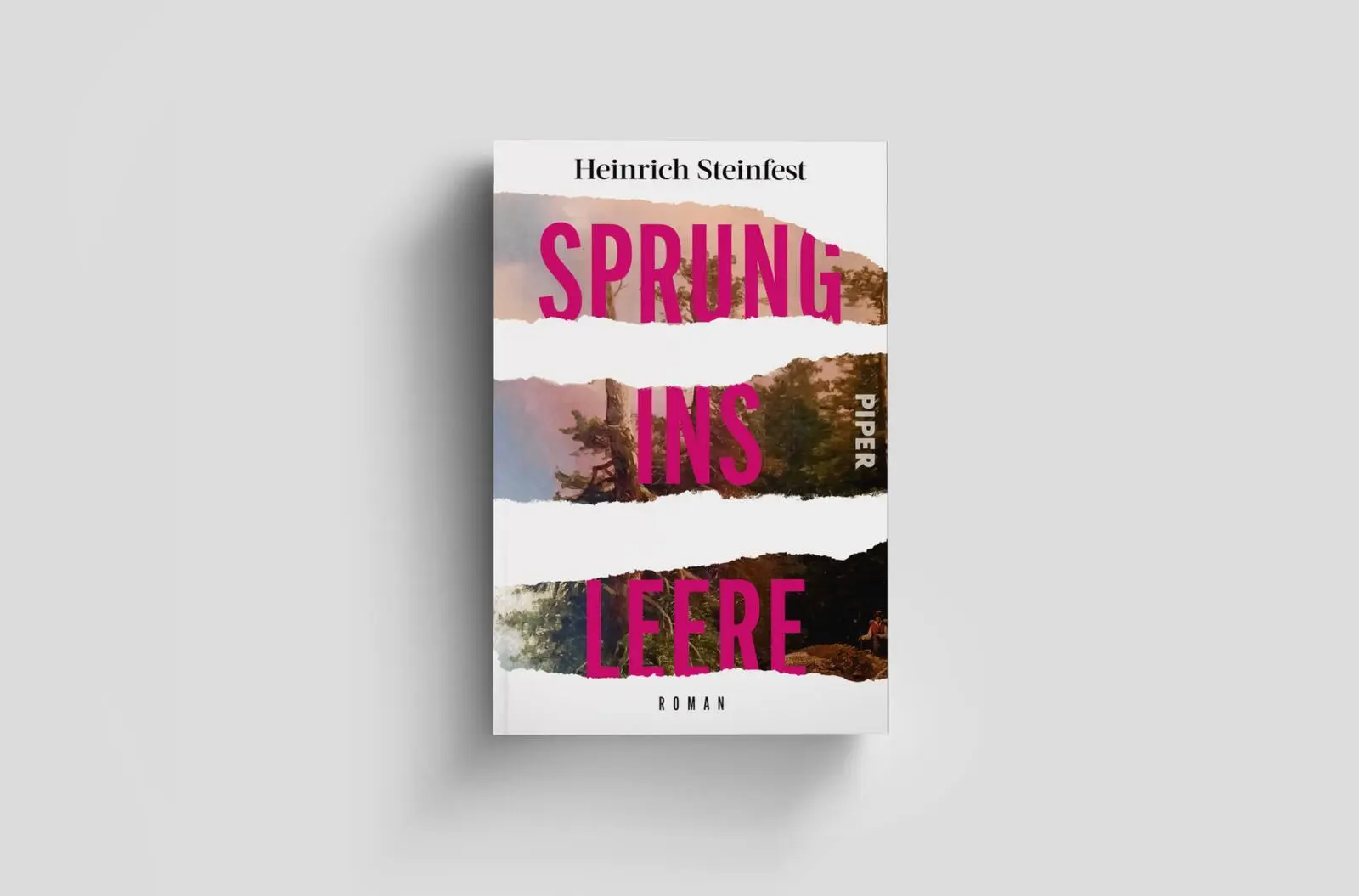 Bild: 9783492321259 | Sprung ins Leere | Heinrich Steinfest | Taschenbuch | 496 S. | Deutsch
