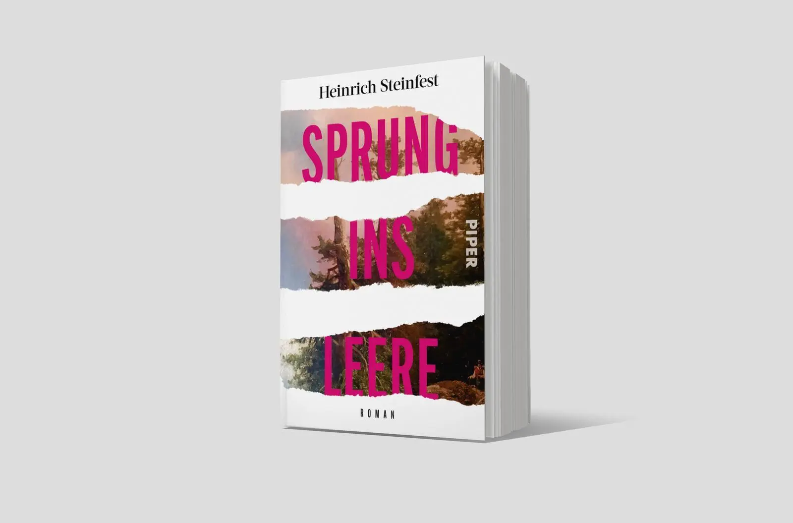 Bild: 9783492321259 | Sprung ins Leere | Heinrich Steinfest | Taschenbuch | 496 S. | Deutsch