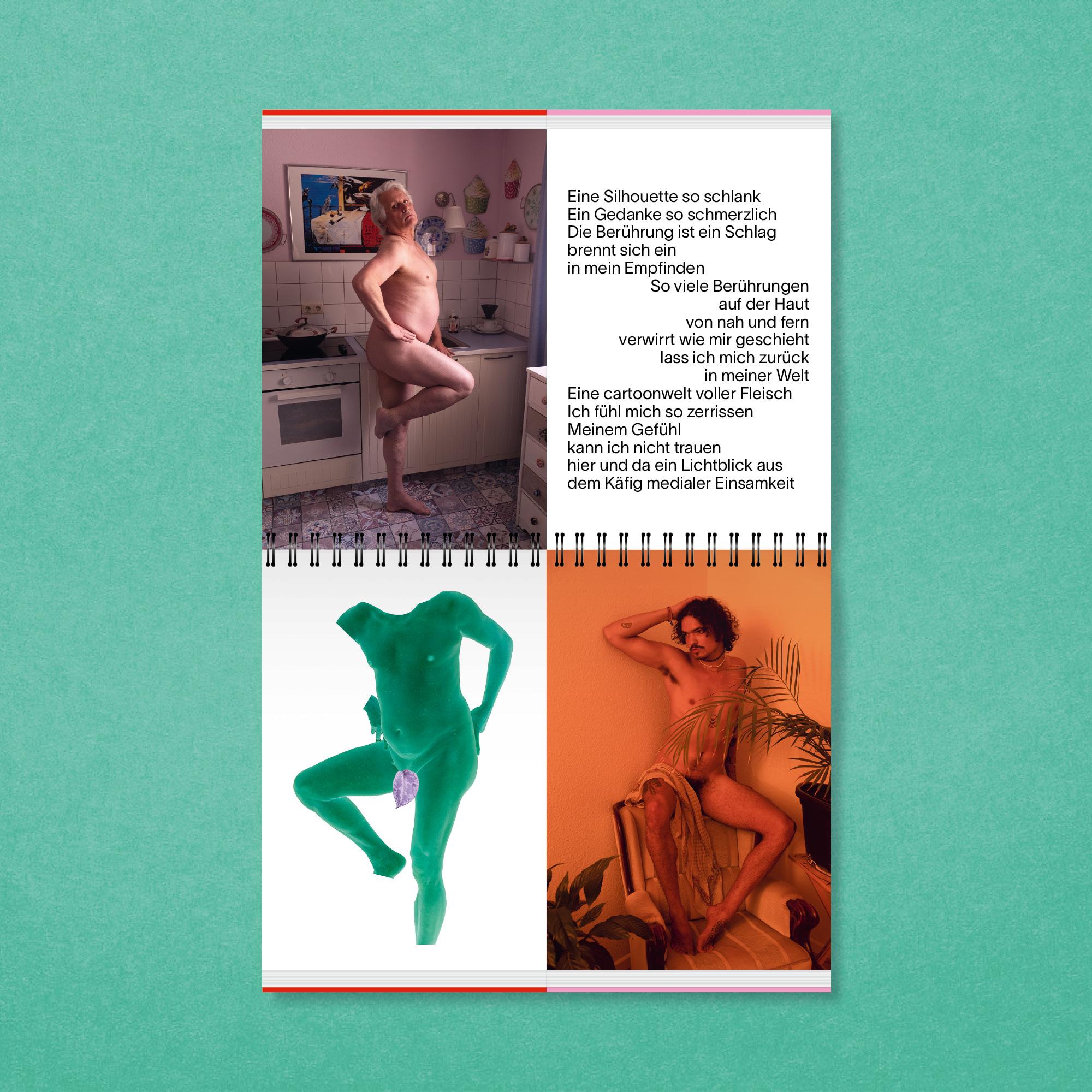 Bild: 9783987411359 | the beauty &amp; the boys | Martin de Crignis | Taschenbuch | 216 S.