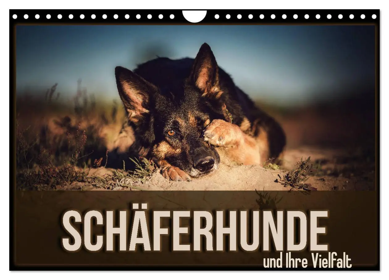 Cover: 9783435351459 | Schäferhunde und Ihre Vielfalt (Wandkalender 2025 DIN A4 quer),...
