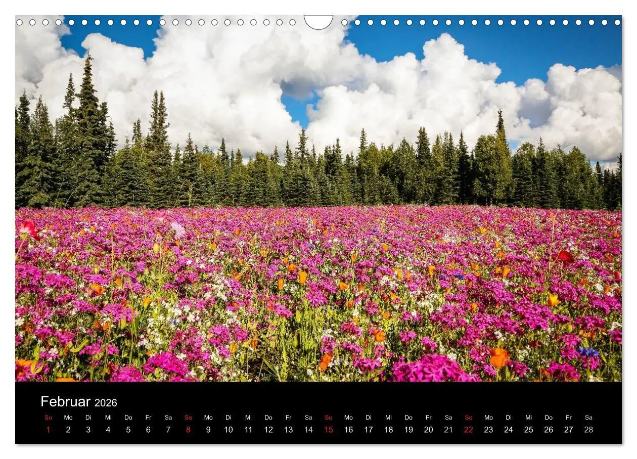 Bild: 9783516081459 | Alaska 2026 Wildes Land am Ende der Welt (Wandkalender 2026 DIN A3...