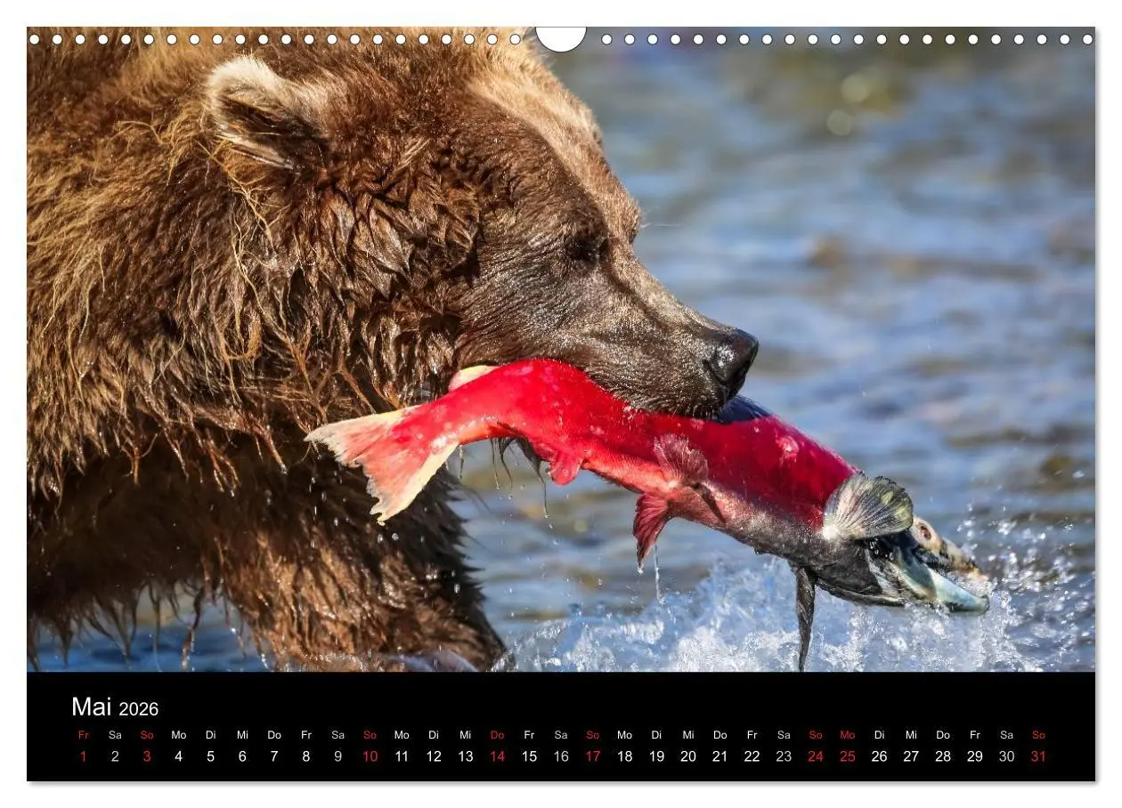 Bild: 9783516081459 | Alaska 2026 Wildes Land am Ende der Welt (Wandkalender 2026 DIN A3...