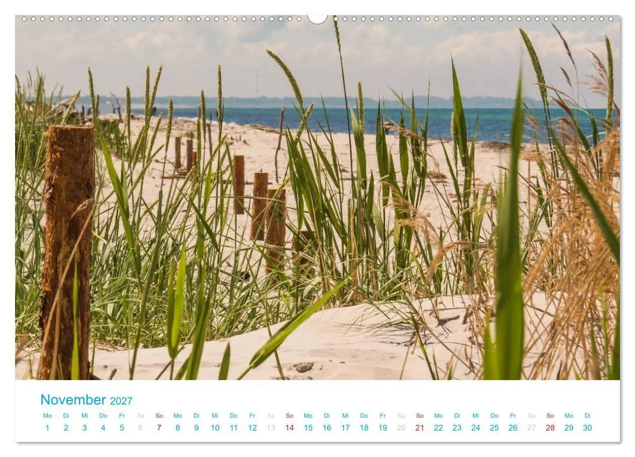 Bild: 9783594201459 | Der Darß Kalender (Wandkalender 2027 DIN A2 quer), CALVENDO...