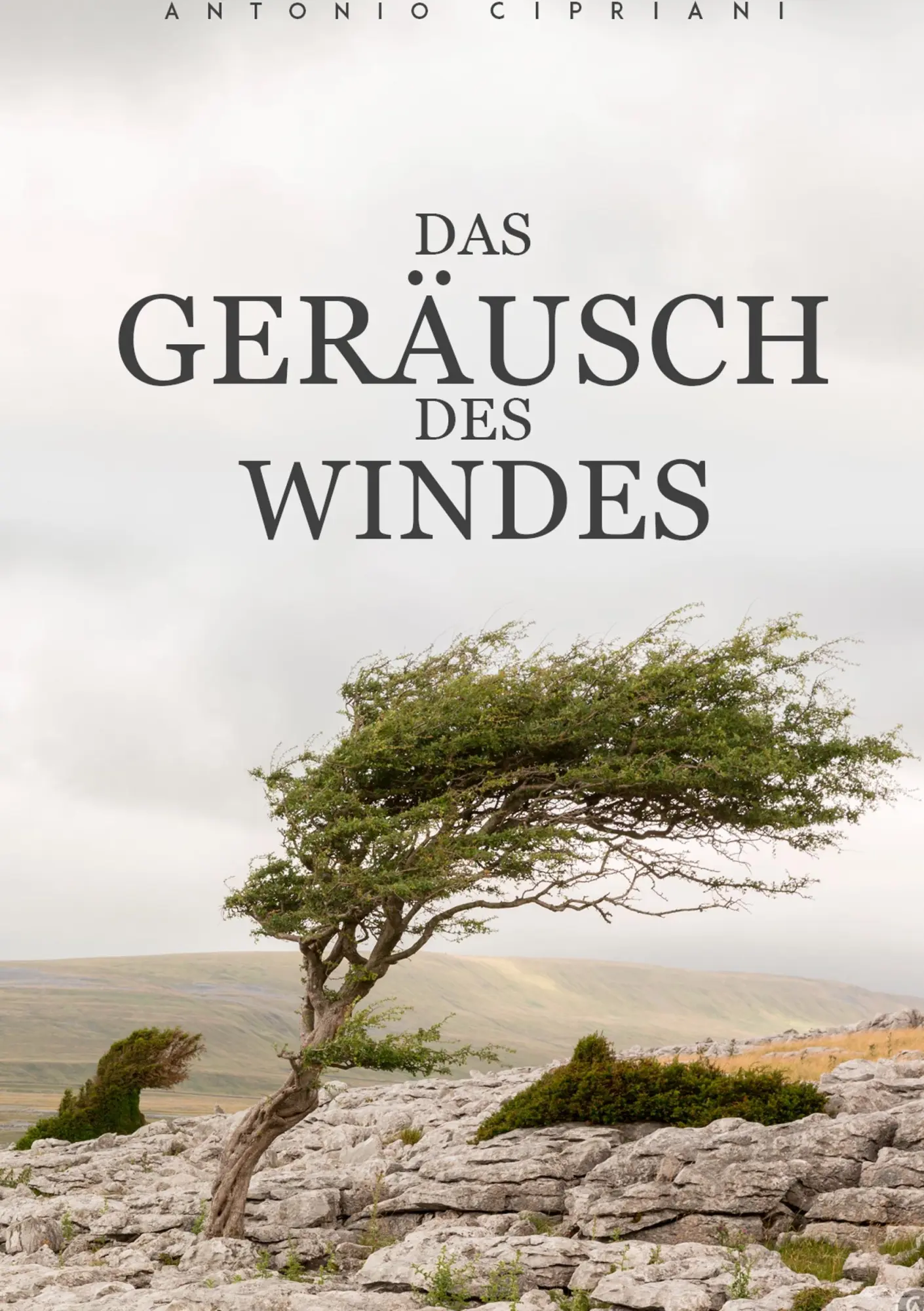 Cover: 9783750481459 | Das Geräusch des Windes | Antonio Cipriani | Taschenbuch | 604 S.