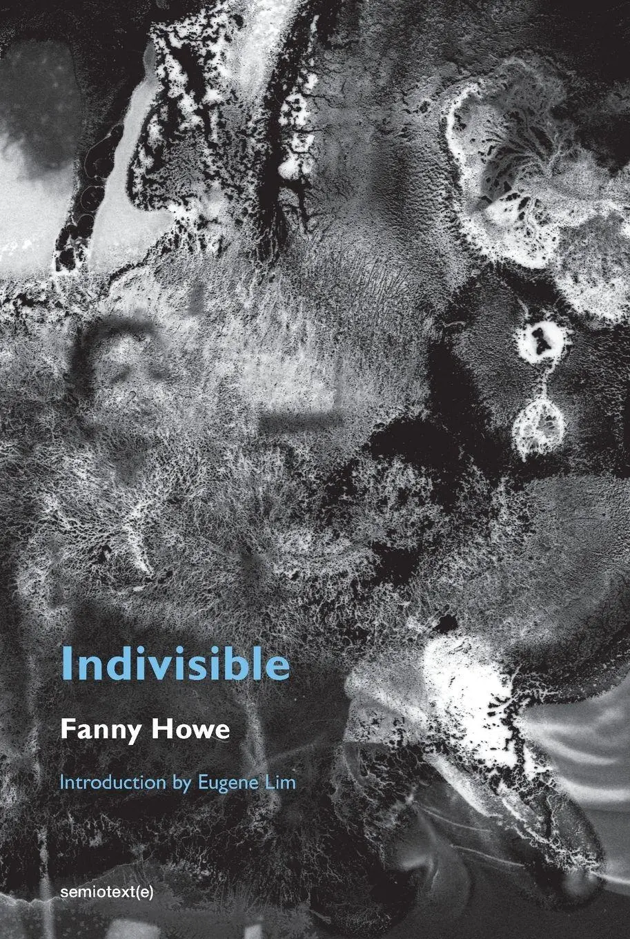 Cover: 9781635901559 | Indivisible, new edition | Fanny Howe | Taschenbuch | Englisch | 2022