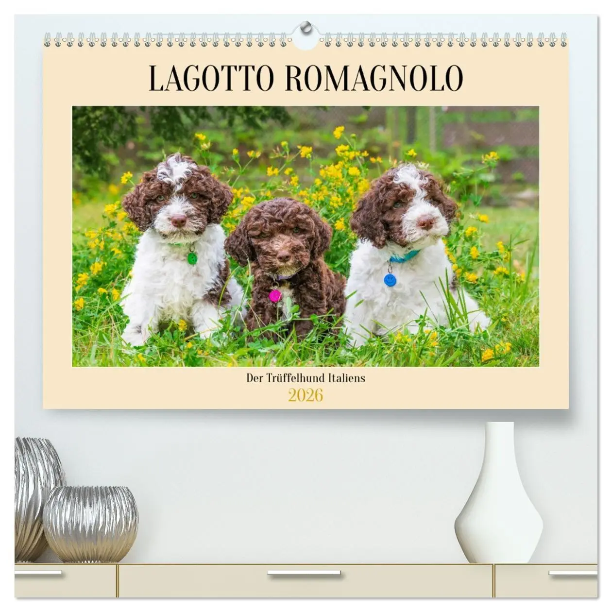 Cover: 9783457501559 | Lagotto Romagnolo - der Trüffelhund Italiens (hochwertiger Premium...