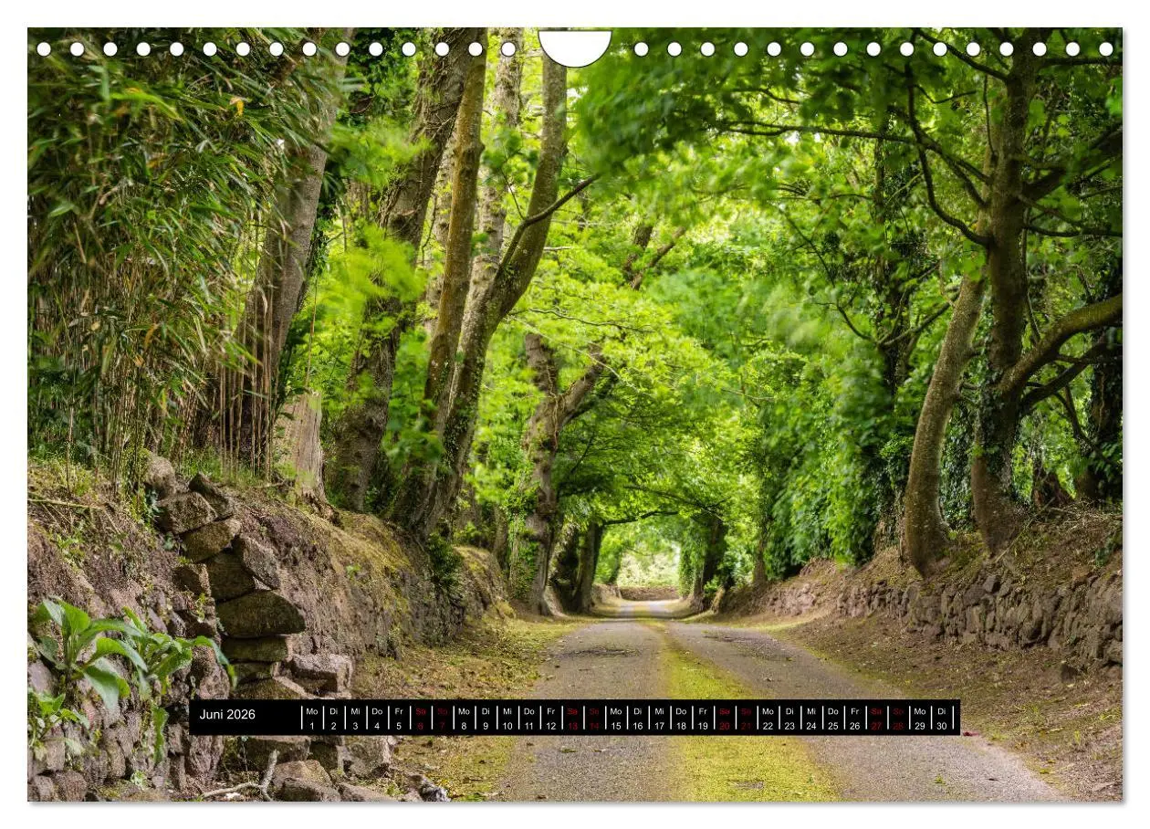 Bild: 9783457811559 | Jersey - Insel im Ärmelkanal (Wandkalender 2026 DIN A4 quer),...