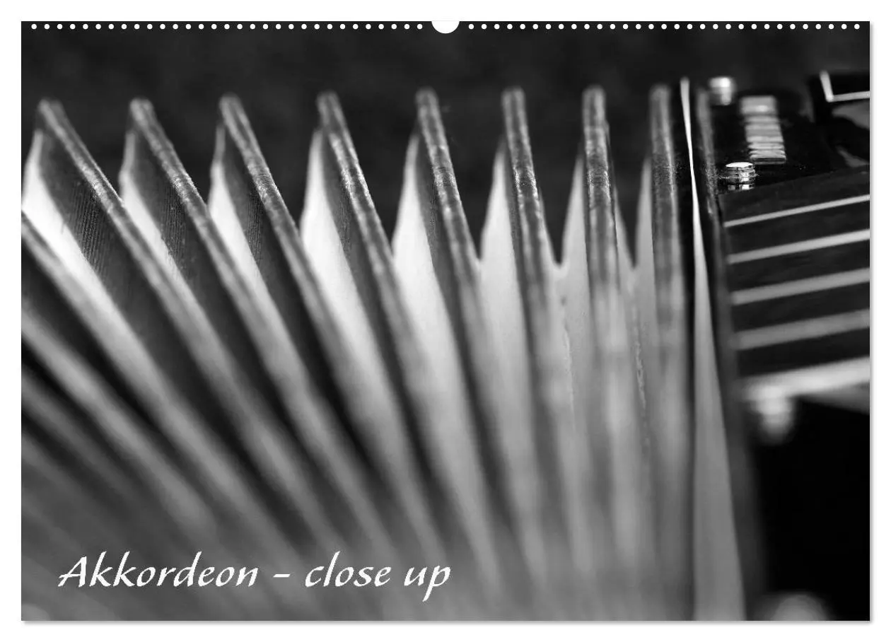 Cover: 9783457981559 | Akkordeon - close up (Wandkalender 2026 DIN A2 quer), CALVENDO...
