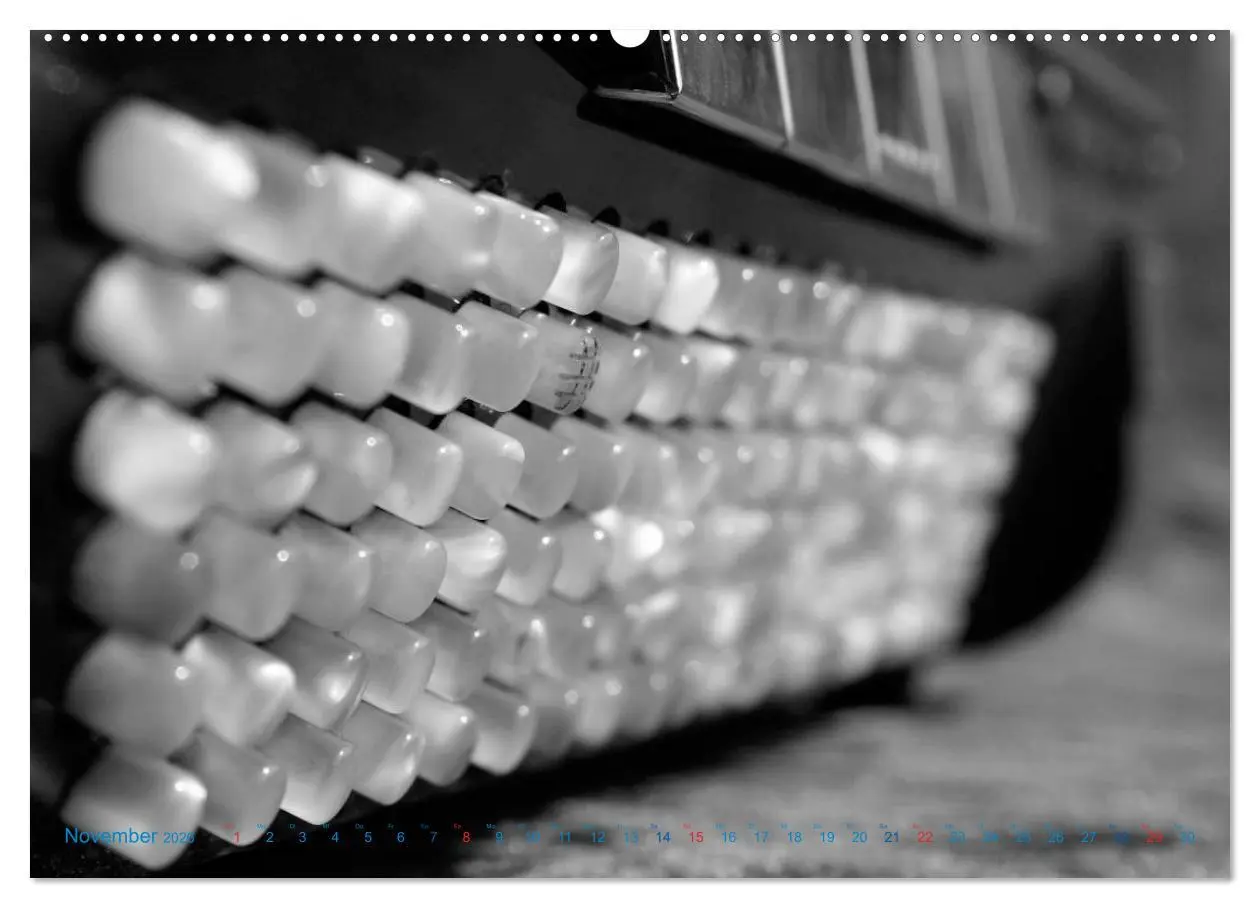 Bild: 9783457981559 | Akkordeon - close up (Wandkalender 2026 DIN A2 quer), CALVENDO...