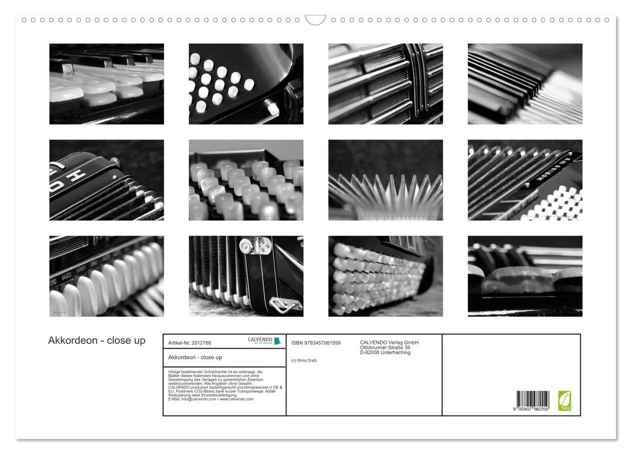 Bild: 9783457981559 | Akkordeon - close up (Wandkalender 2026 DIN A2 quer), CALVENDO...