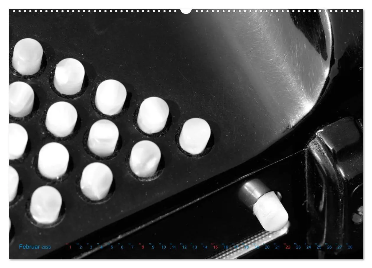 Bild: 9783457981559 | Akkordeon - close up (Wandkalender 2026 DIN A2 quer), CALVENDO...