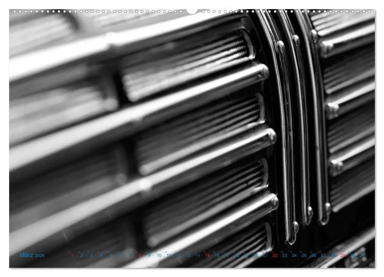 Bild: 9783457981559 | Akkordeon - close up (Wandkalender 2026 DIN A2 quer), CALVENDO...