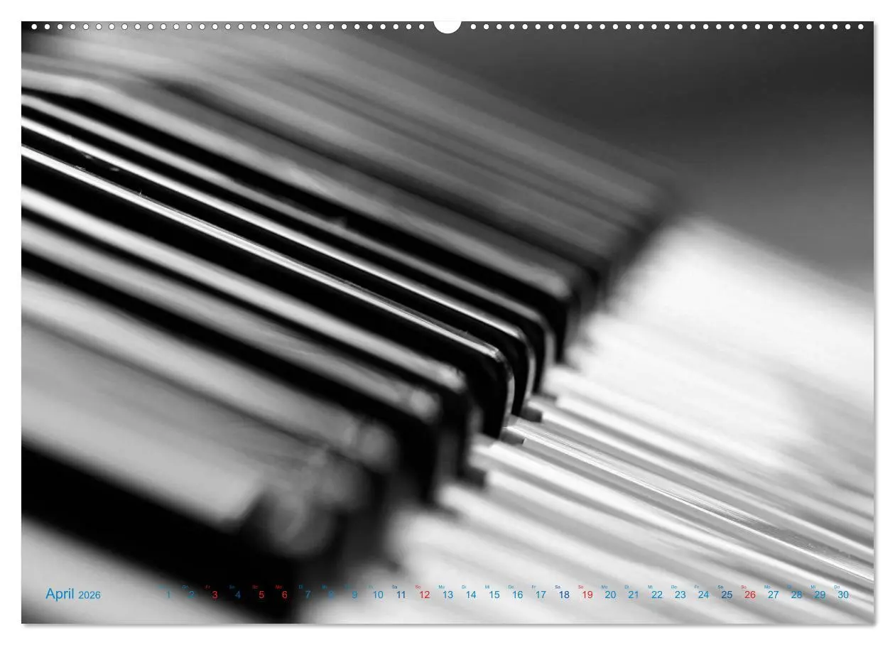 Bild: 9783457981559 | Akkordeon - close up (Wandkalender 2026 DIN A2 quer), CALVENDO...