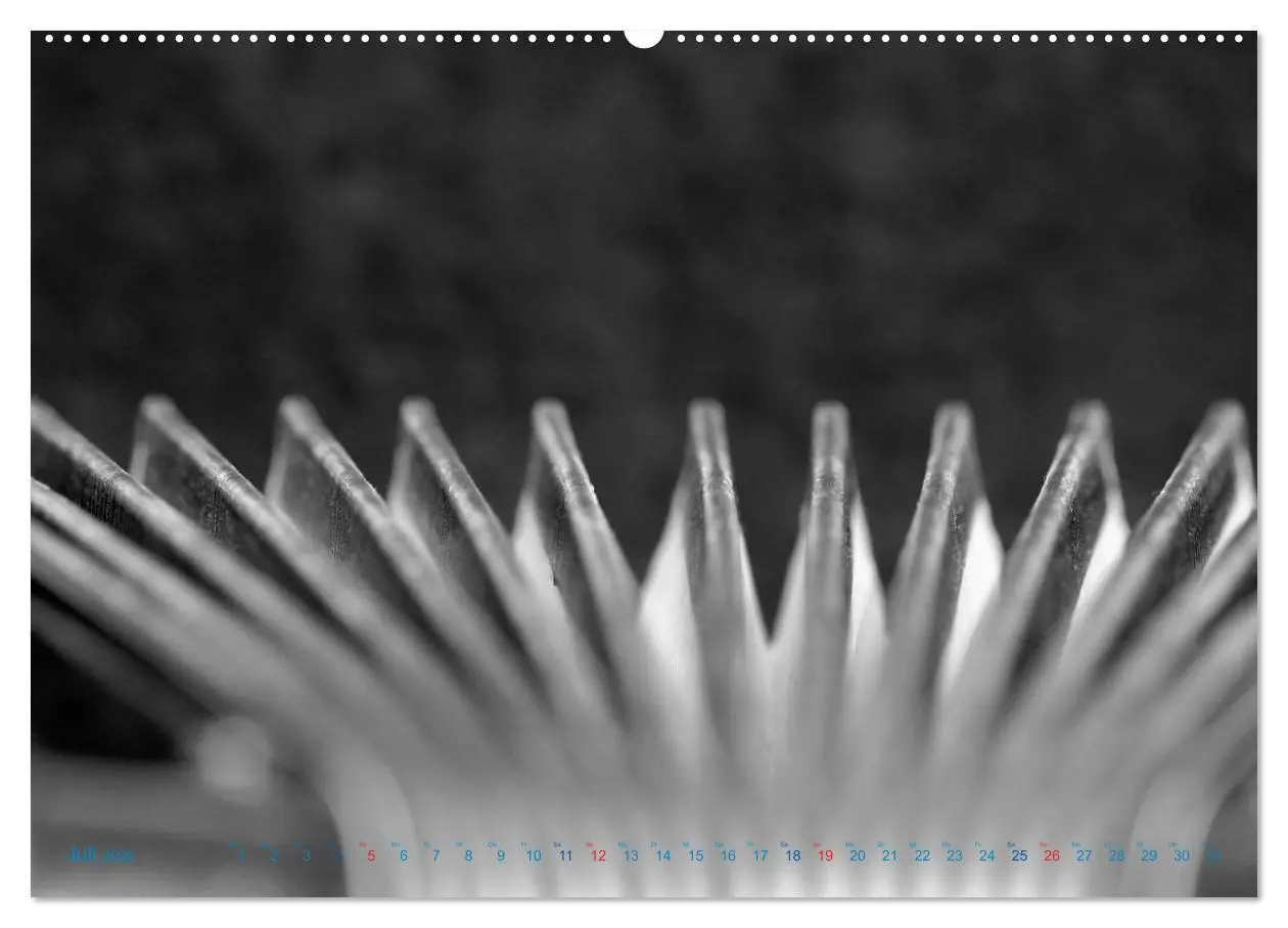 Bild: 9783457981559 | Akkordeon - close up (Wandkalender 2026 DIN A2 quer), CALVENDO...