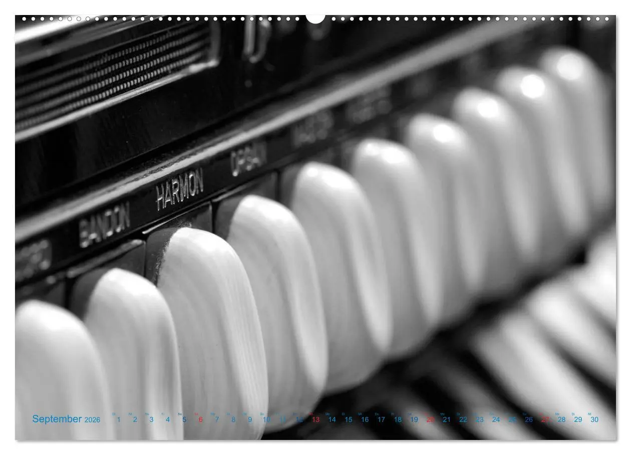 Bild: 9783457981559 | Akkordeon - close up (Wandkalender 2026 DIN A2 quer), CALVENDO...