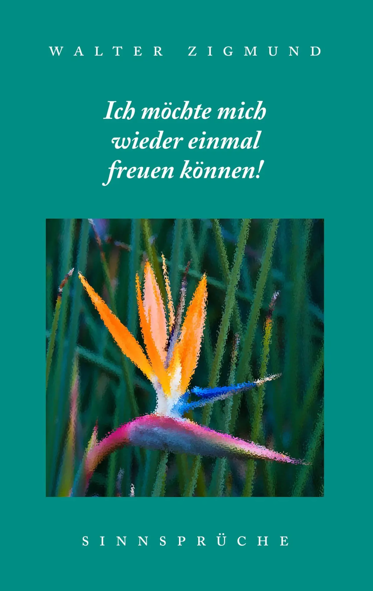 Cover: 9783844831559 | Ich möchte mich wieder einmal freuen können! Sinnsprüche | Zigmund
