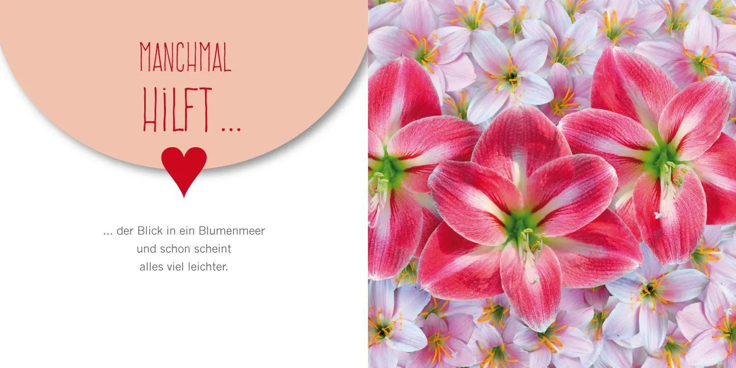 Bild: 9783957481559 | Alles was kommt wird sicher gut | Taschenbuch | 40 S. | Deutsch | 2019