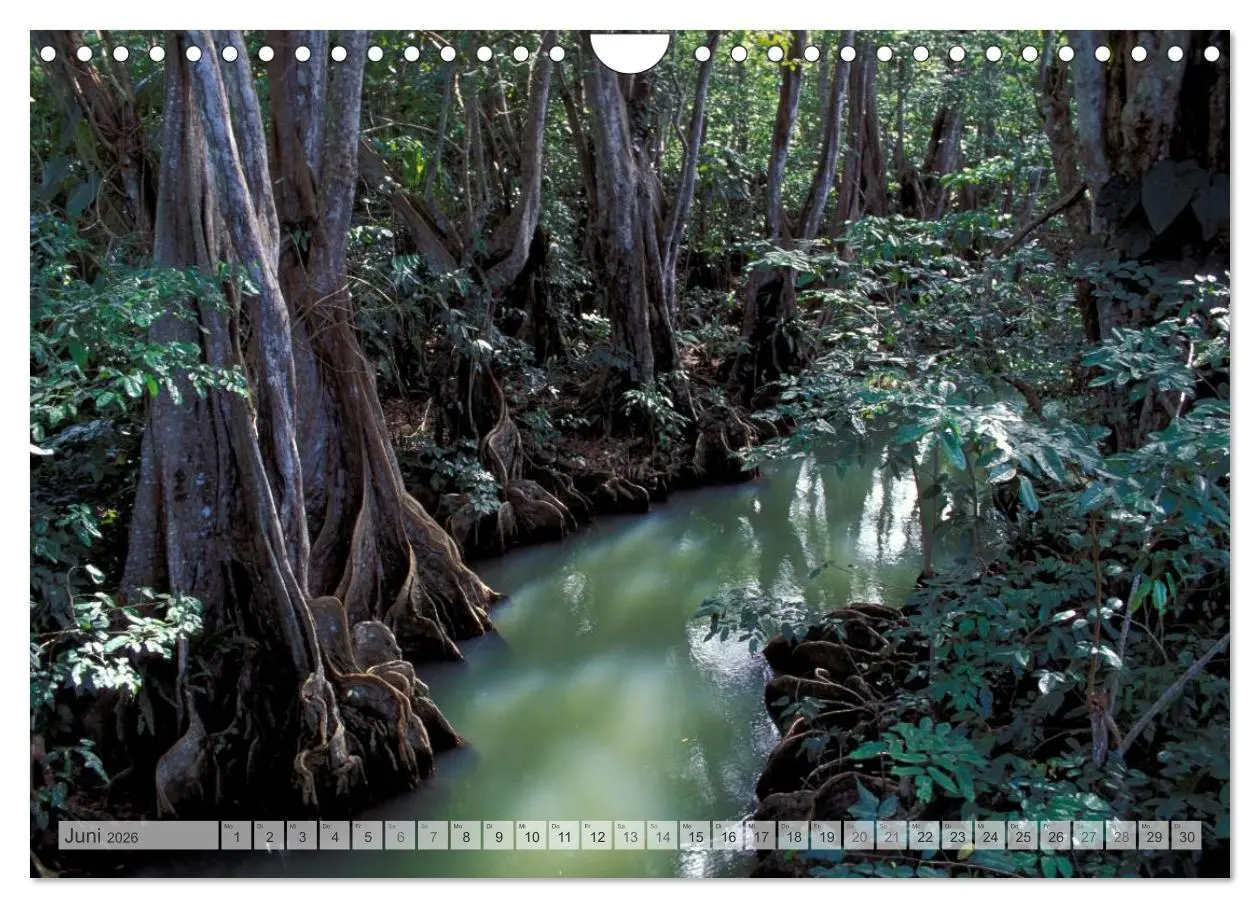 Bild: 9783516121759 | Trauminseln Karibik Christian Heeb (Wandkalender 2026 DIN A4 quer),...