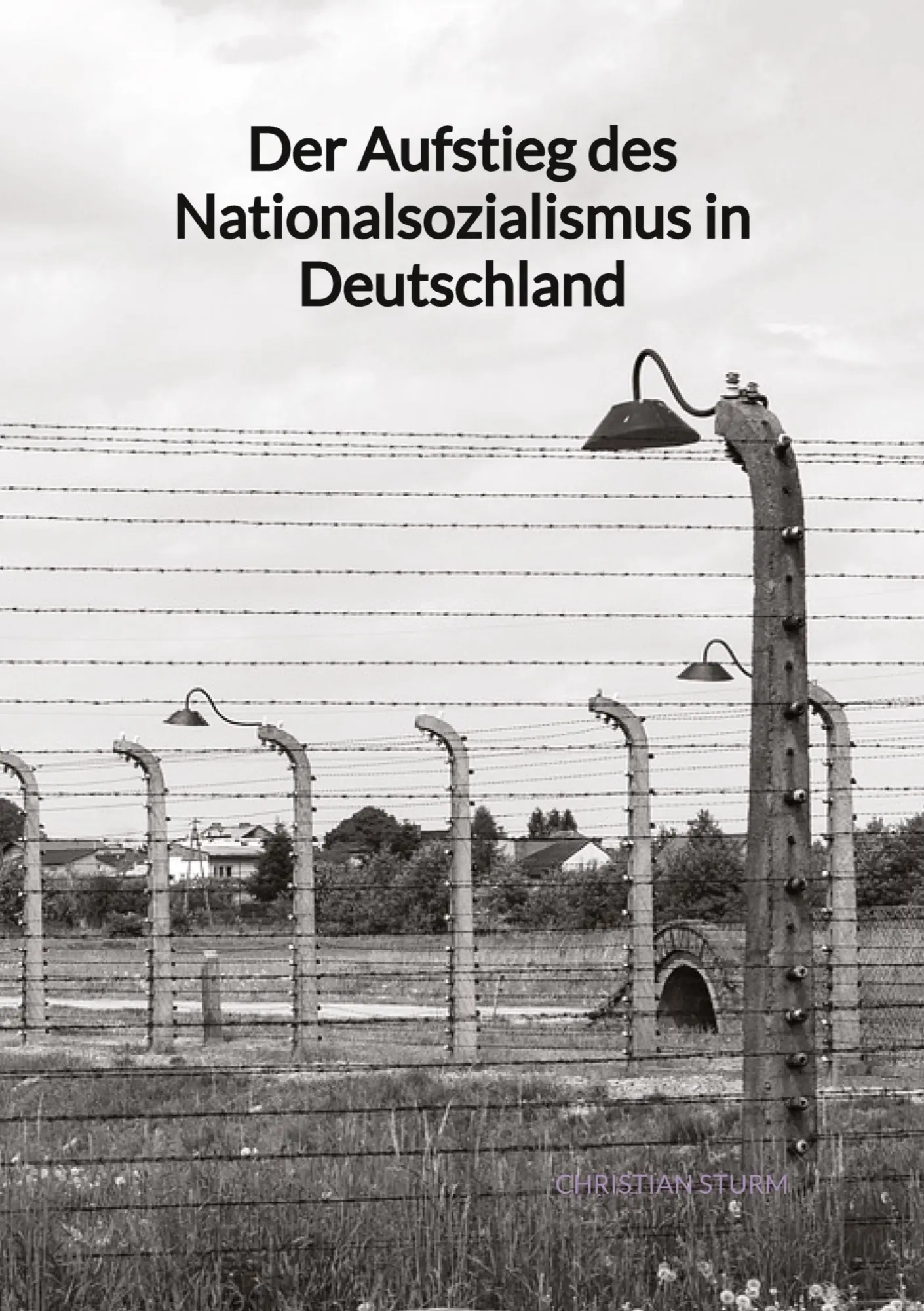 Cover: 9783347991859 | Der Aufstieg des Nationalsozialismus in Deutschland | Christian Sturm