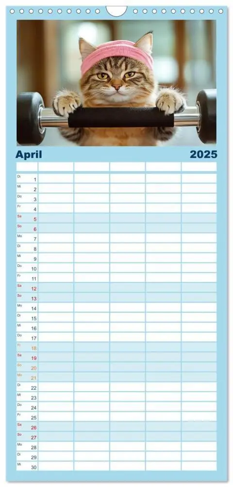 Bild: 9783457191859 | Familienplaner 2025 - Lustige Sportarten für Katzen mit 5 Spalten...