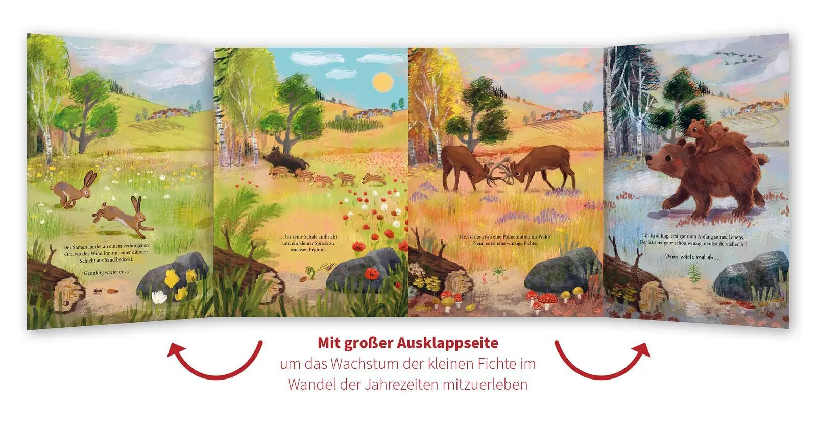 Bild: 9783480241859 | Die kleine Fichte und das Weihnachtswunder | Esther Van Den Berg