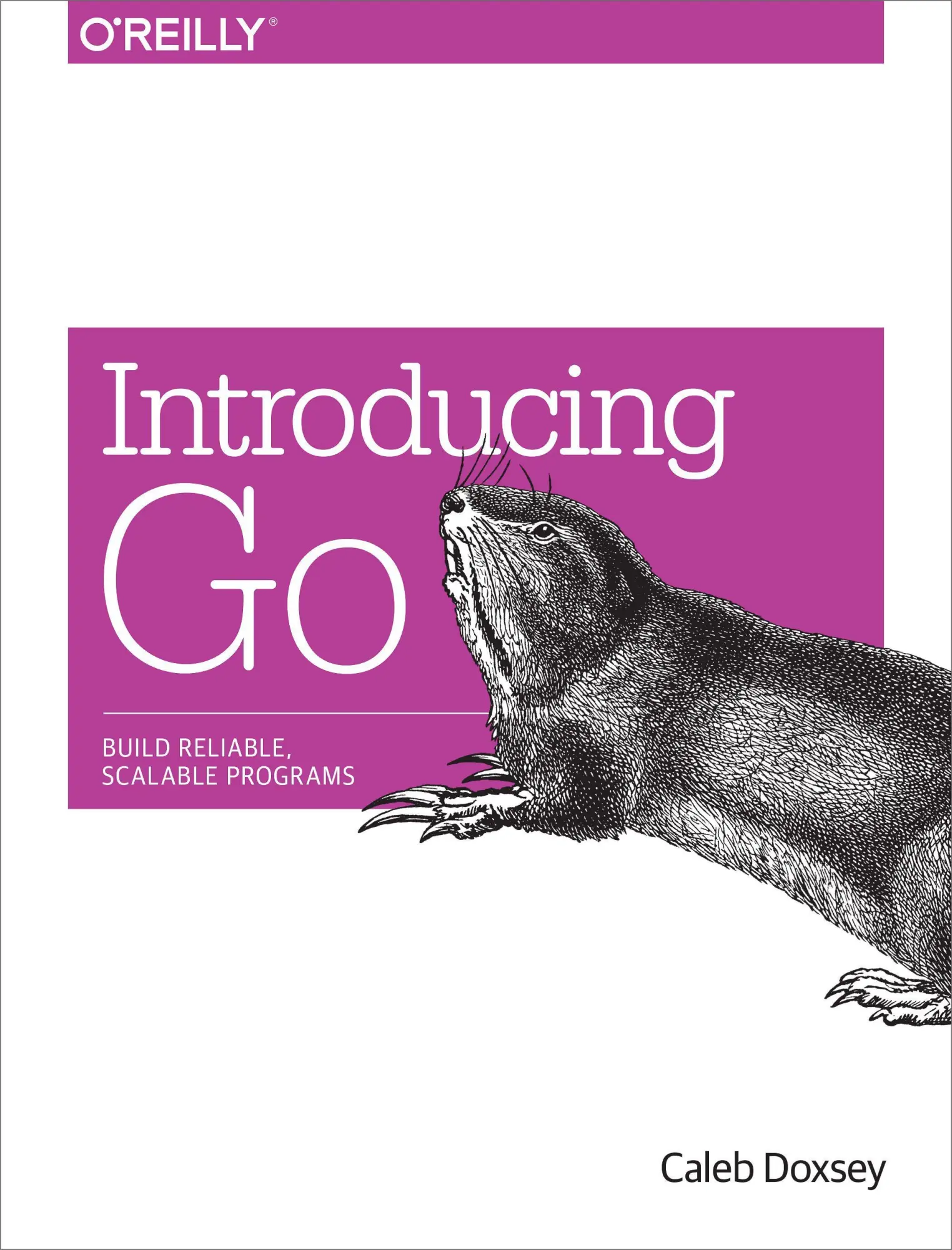 Cover: 9781491941959 | Introducing Go | Build Reliable, Scalable Programs | Caleb Doxsey Cover: 9781491941959 | Introducing Go | Build Reliable, Scalable Programs | Caleb Doxsey