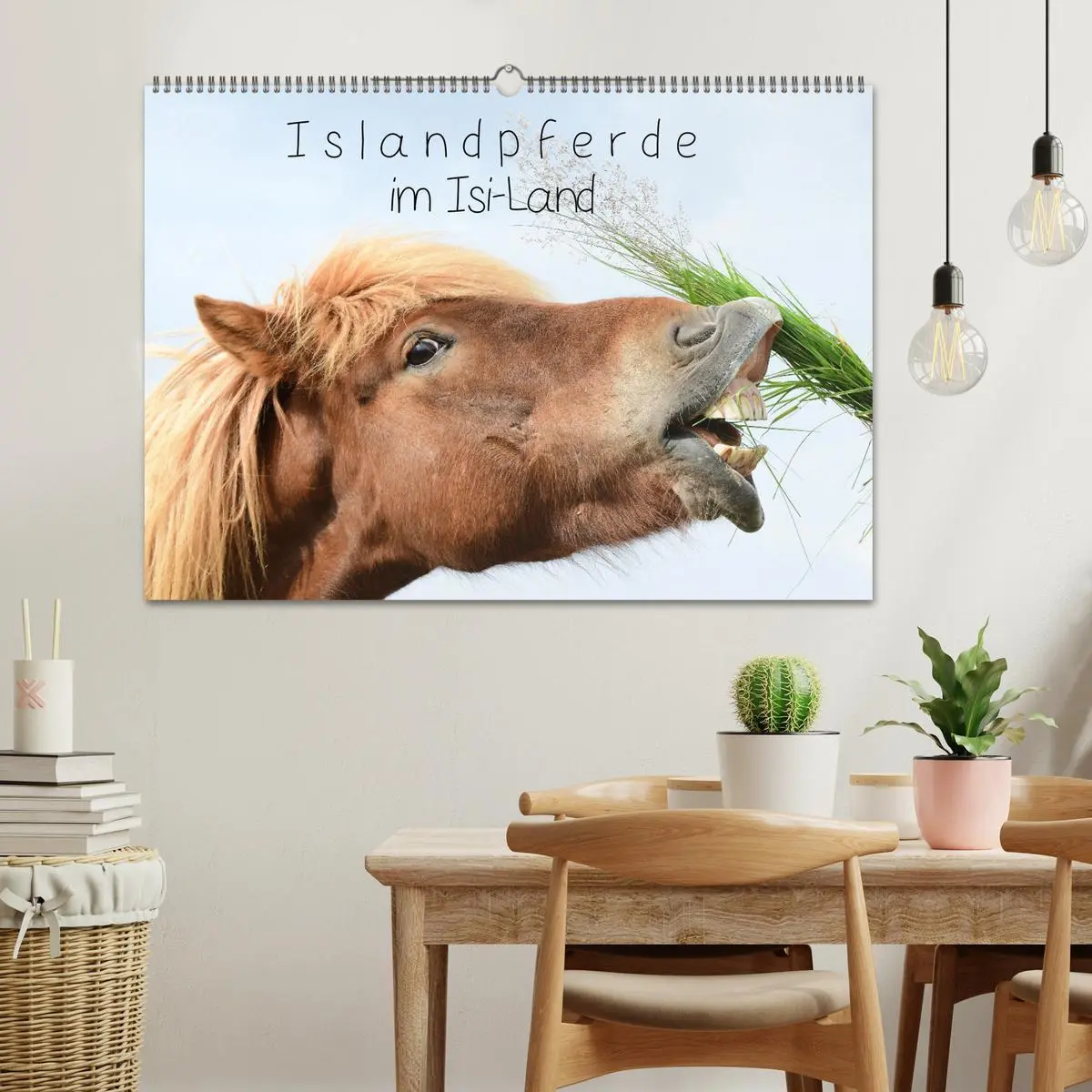 Bild: 9783457321959 | Islandpferde im Isi-Land (Wandkalender 2026 DIN A2 quer), CALVENDO...