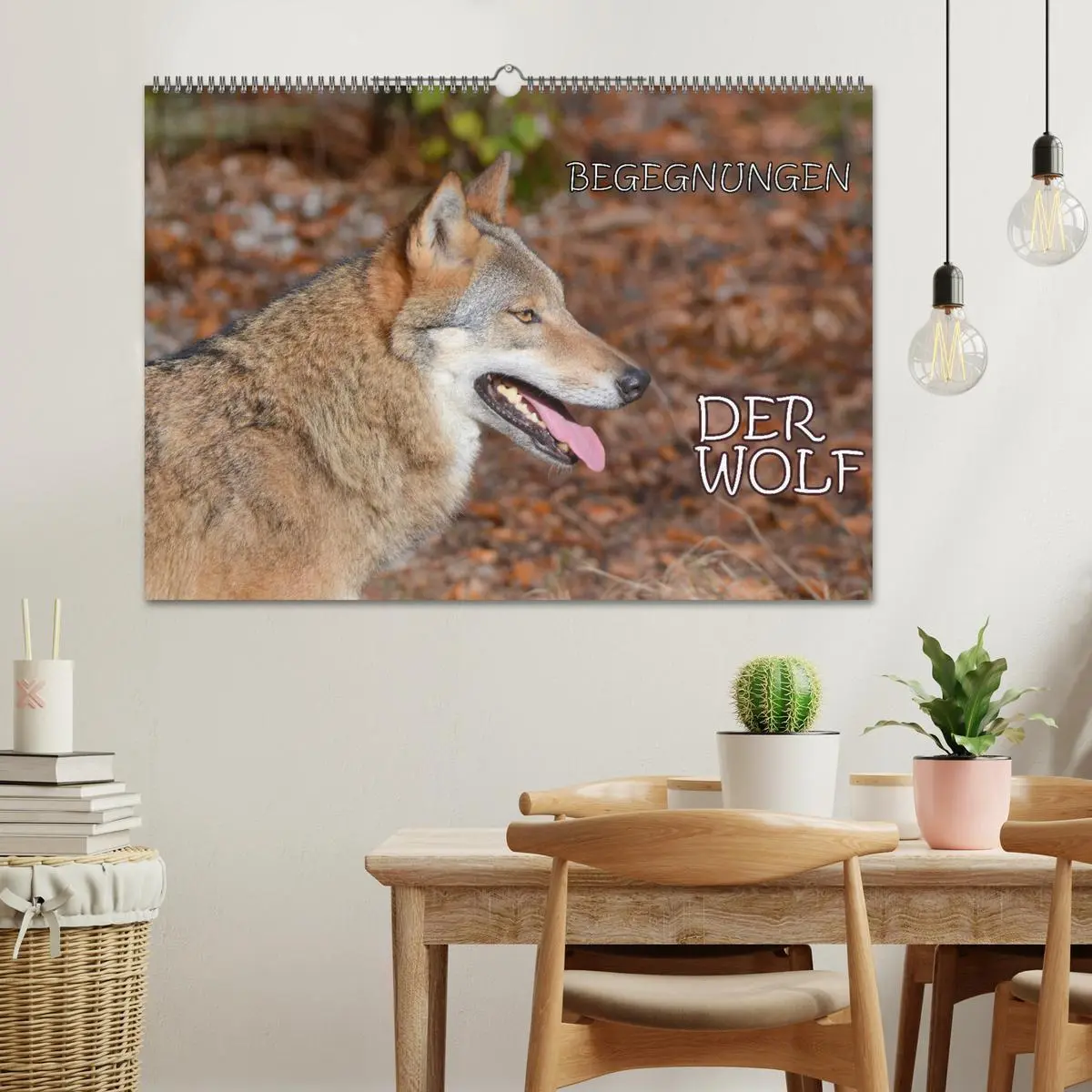 Bild: 9783457871959 | Begegnungen DER WOLF (Wandkalender 2026 DIN A2 quer), CALVENDO...