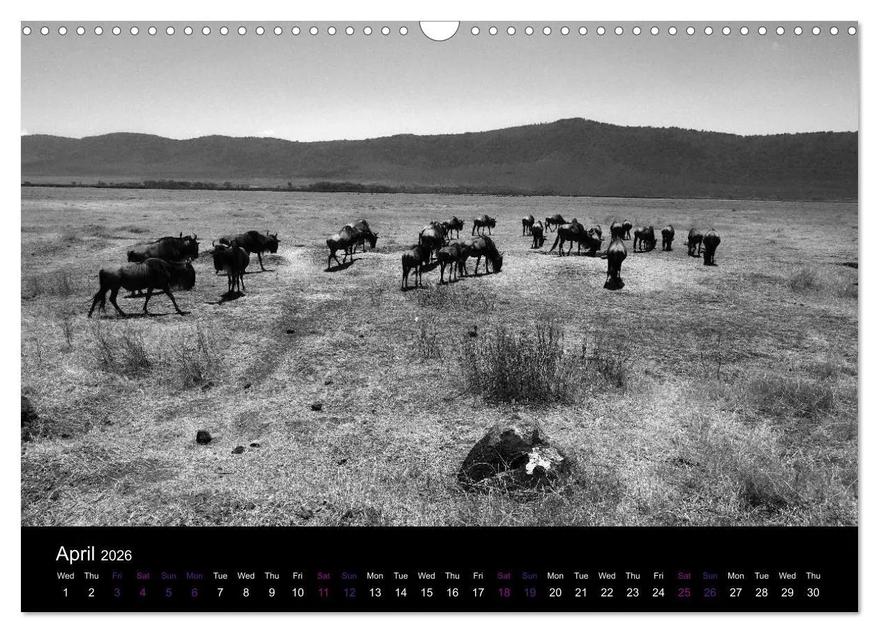 Bild: 9783516581959 | East Africa - Tanzania and Kenya / UK-Version (Wall Calendar 2026...