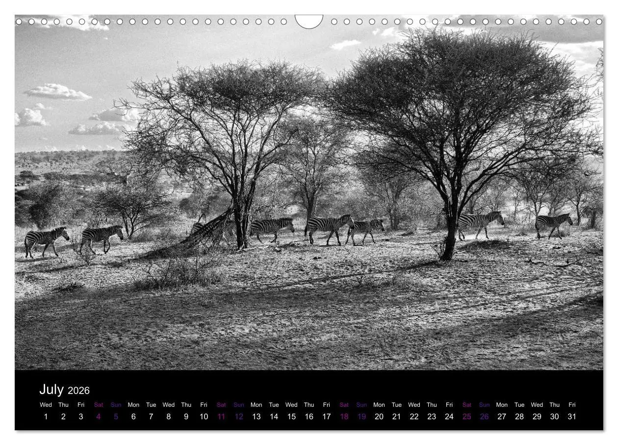 Bild: 9783516581959 | East Africa - Tanzania and Kenya / UK-Version (Wall Calendar 2026...
