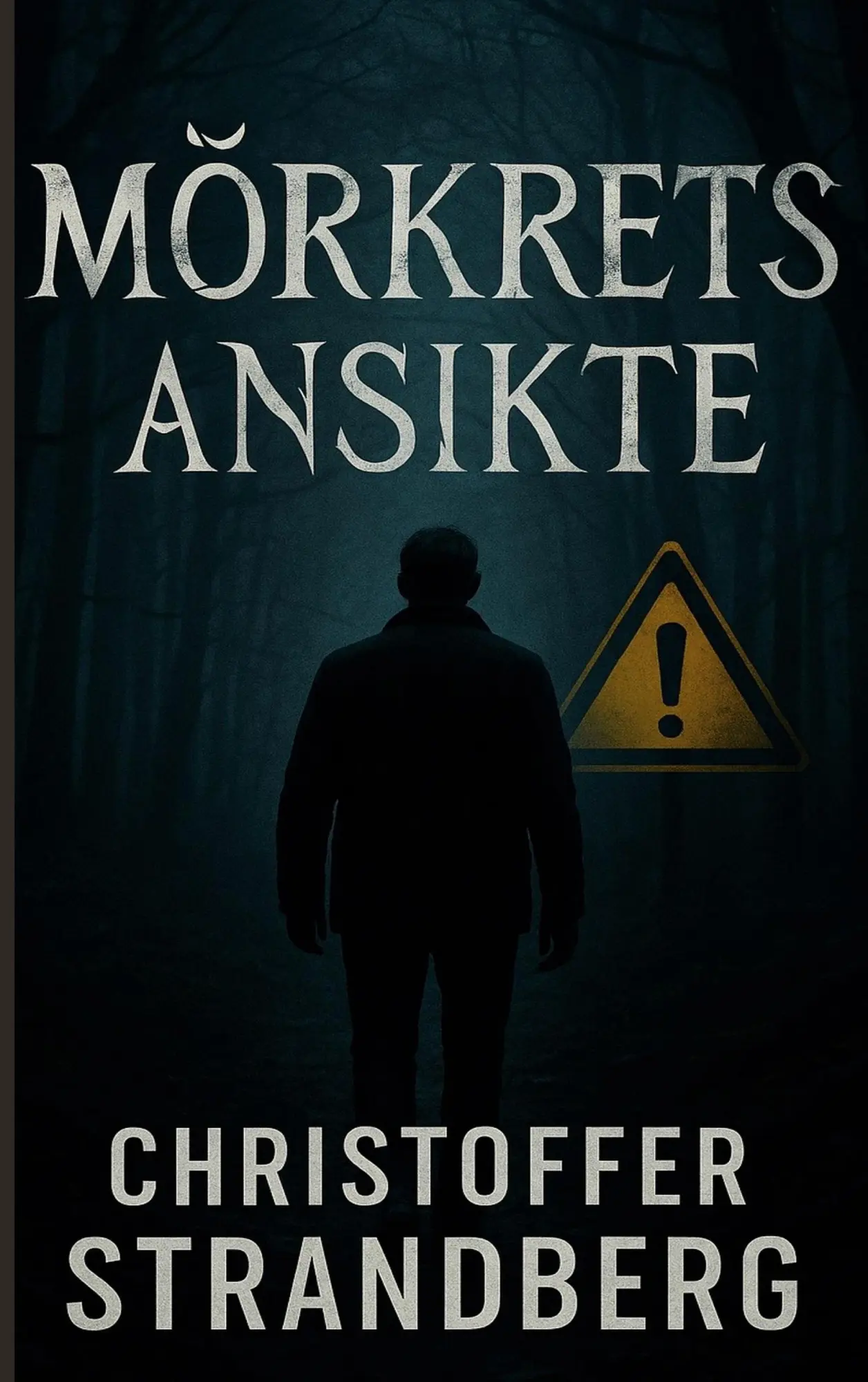 Cover: 9789180971959 | Mörkrets ansikte | Christoffer Strandberg | Taschenbuch | Schwedisch