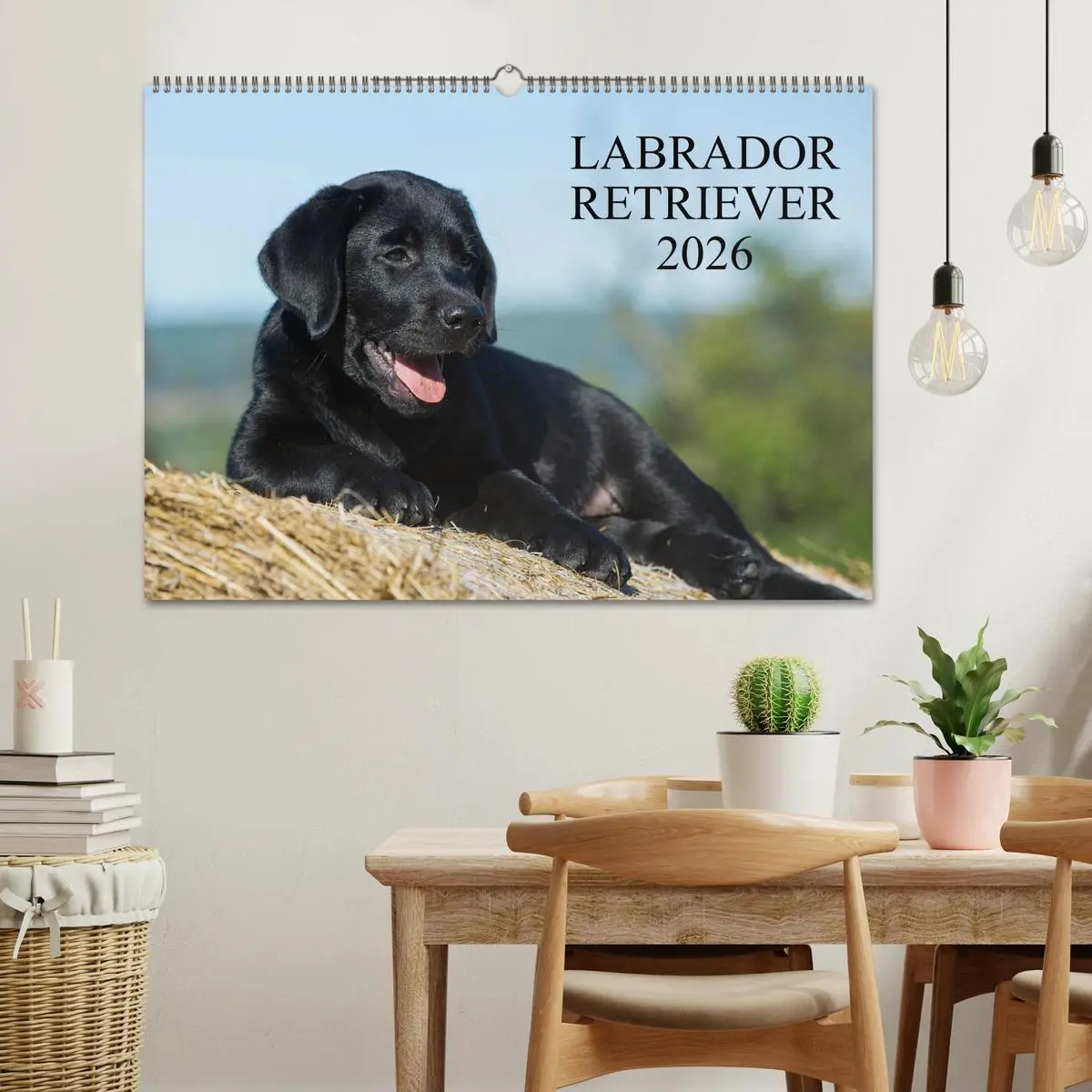 Bild: 9783516162059 | Labrador Retriever 2026 (Wandkalender 2026 DIN A2 quer), CALVENDO...