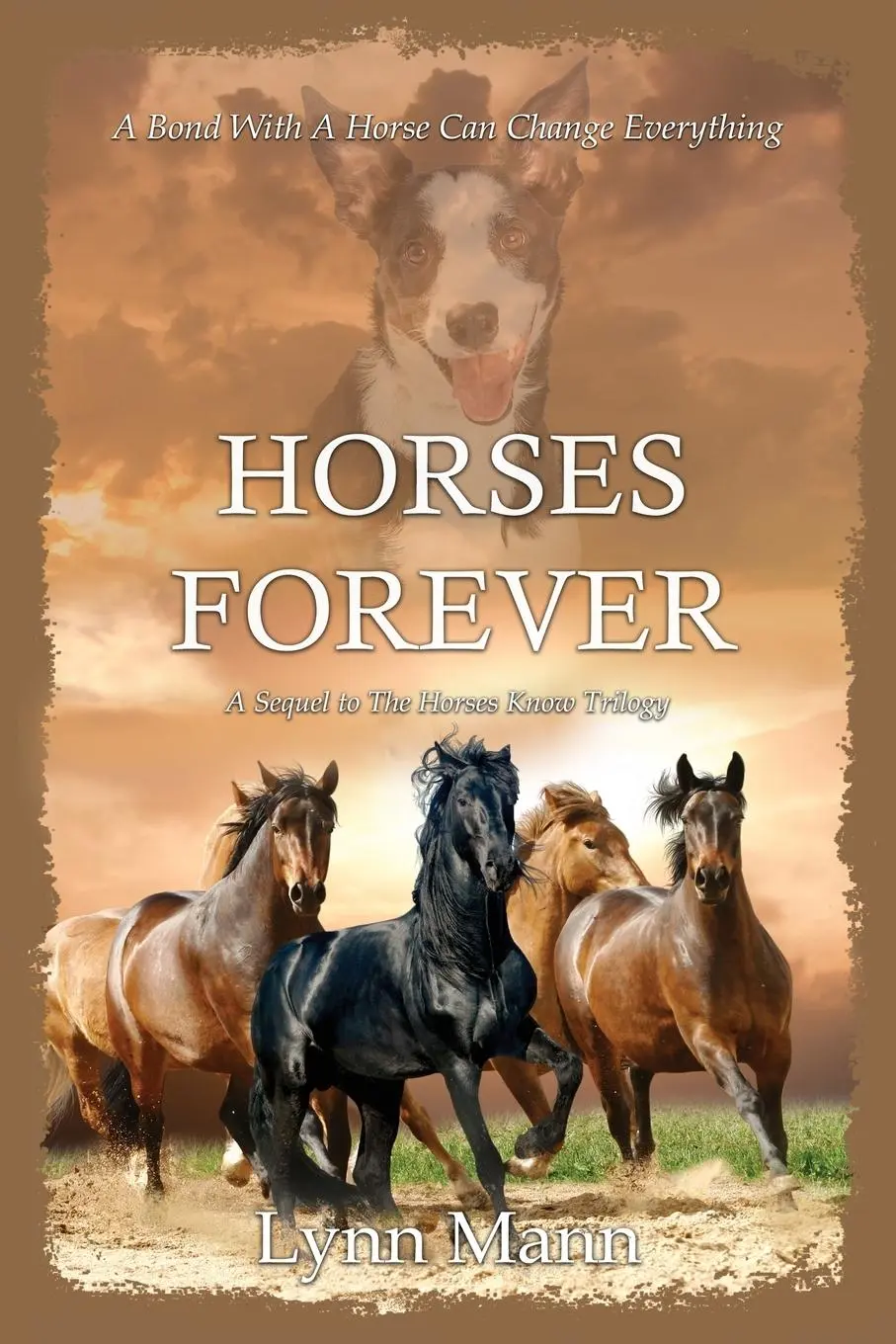 Cover: 9781916172159 | Horses Forever | A Sequel to The Horses Know Trilogy | Lynn Mann