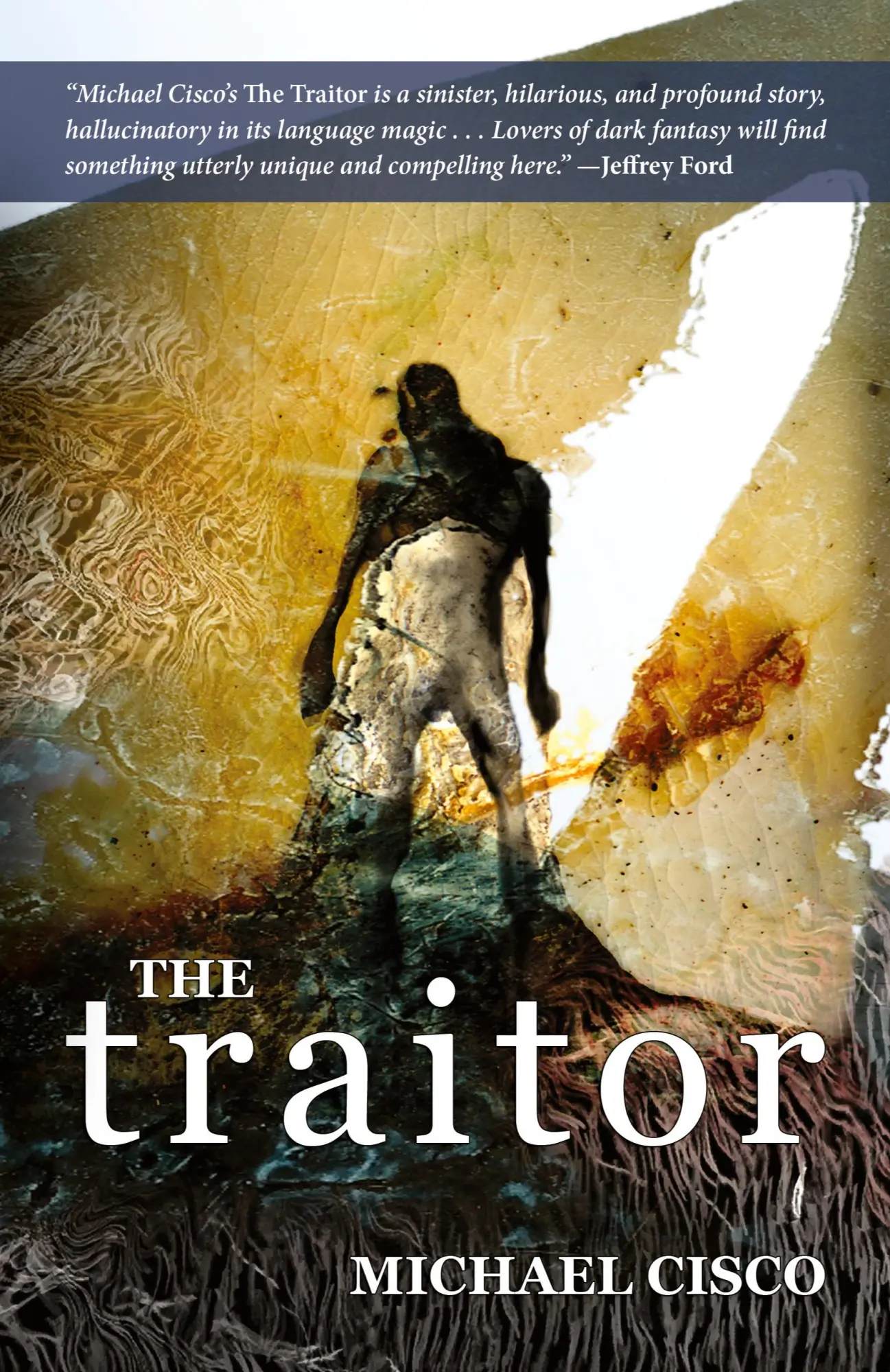 Cover: 9780809572359 | The Traitor | Michael Cisco | Taschenbuch | Kartoniert / Broschiert
