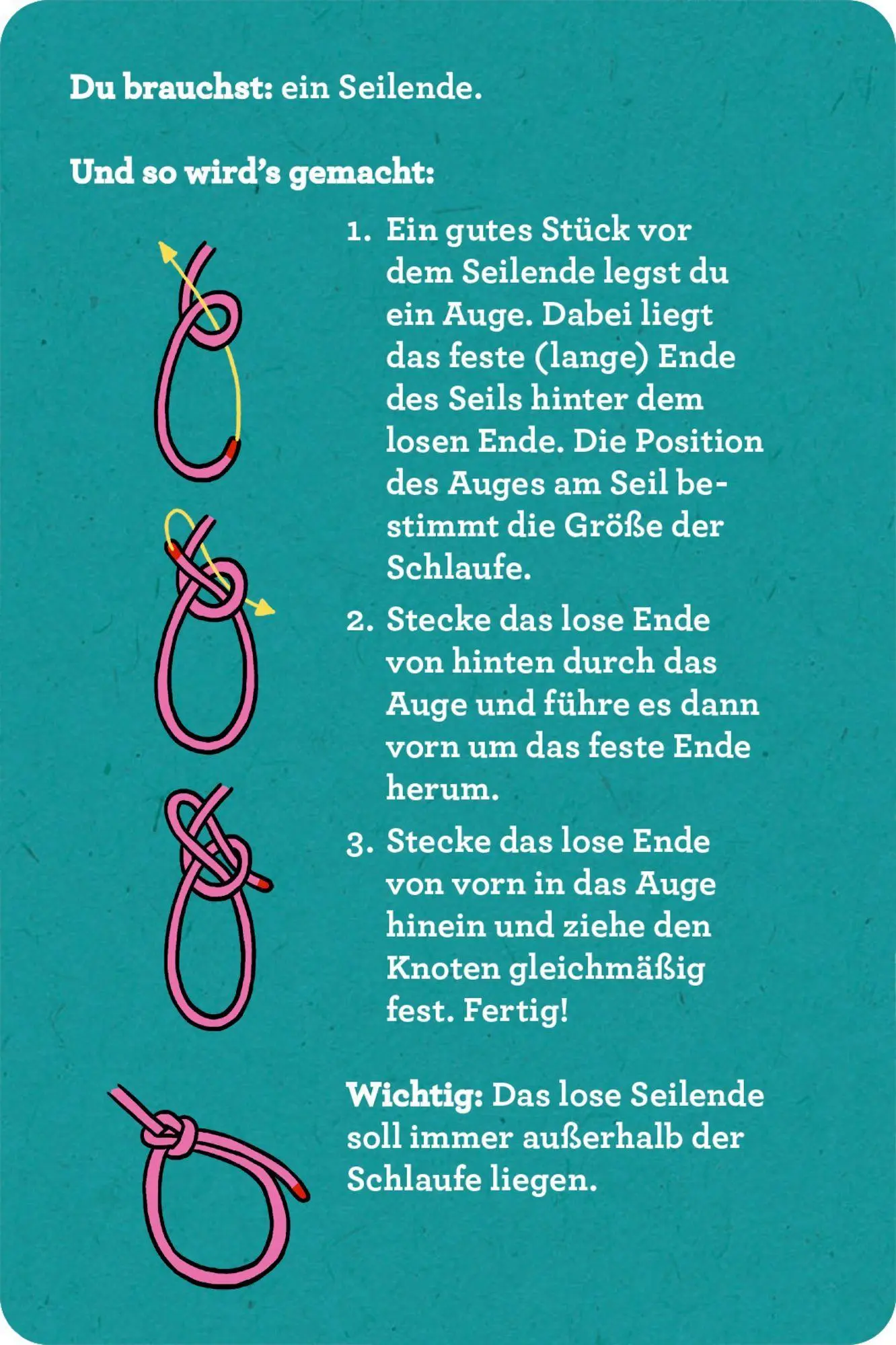 Bild: 9783649652359 | 30 Knoten mit Seilen zum Üben | Barbara Wernsing | Taschenbuch | 64 S.